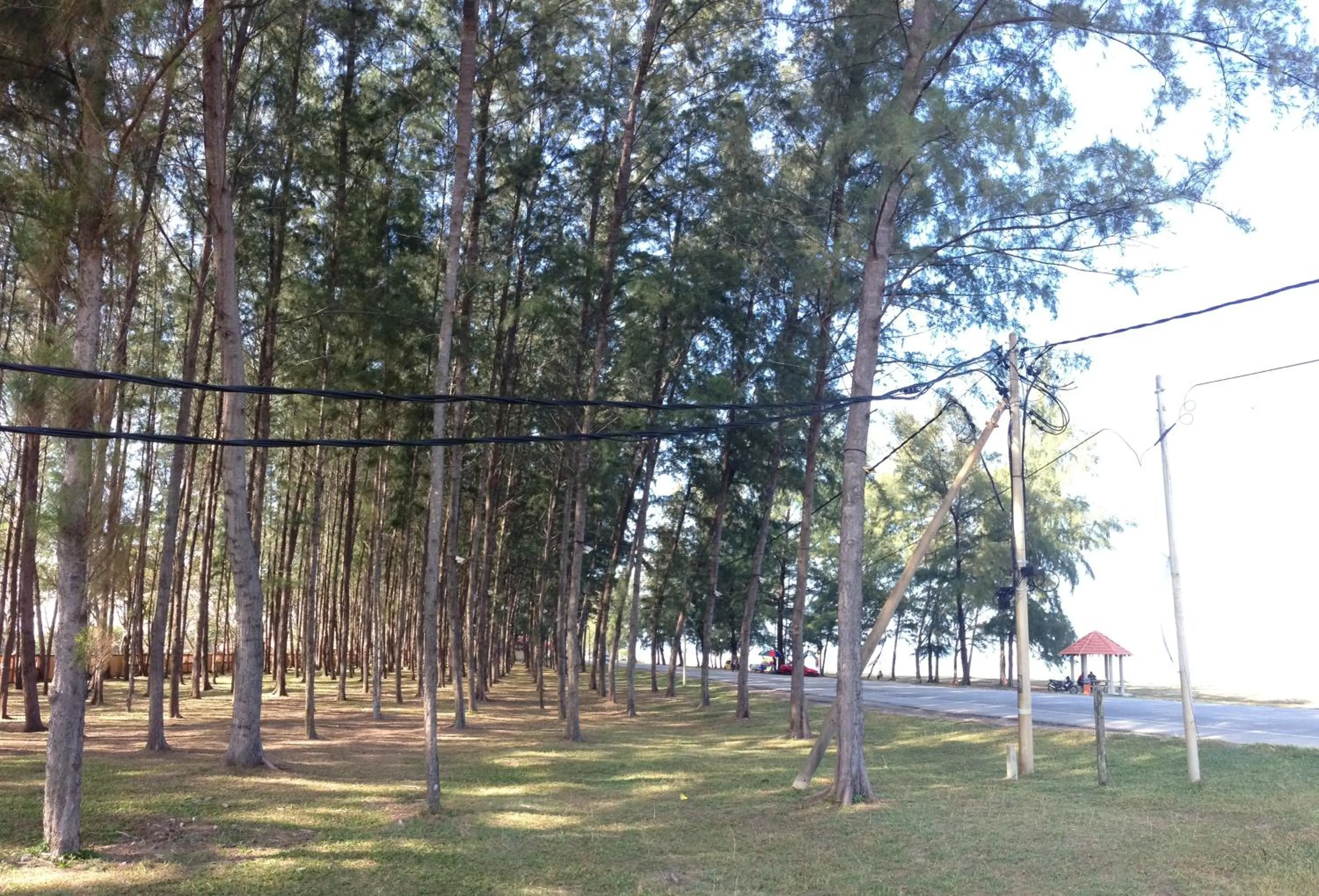 Day in Semarak Beach Inn