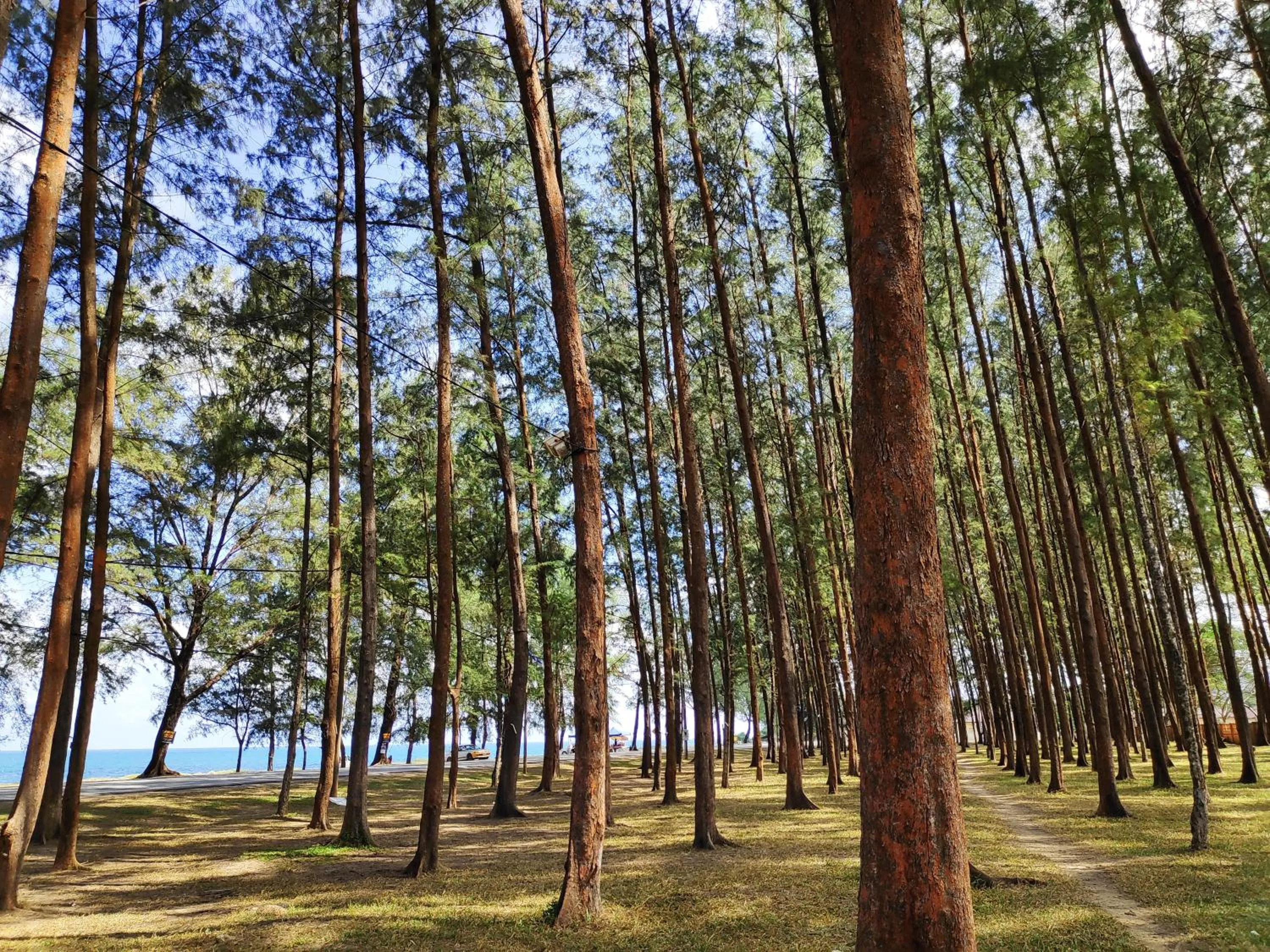 Natural landscape in Semarak Beach Inn