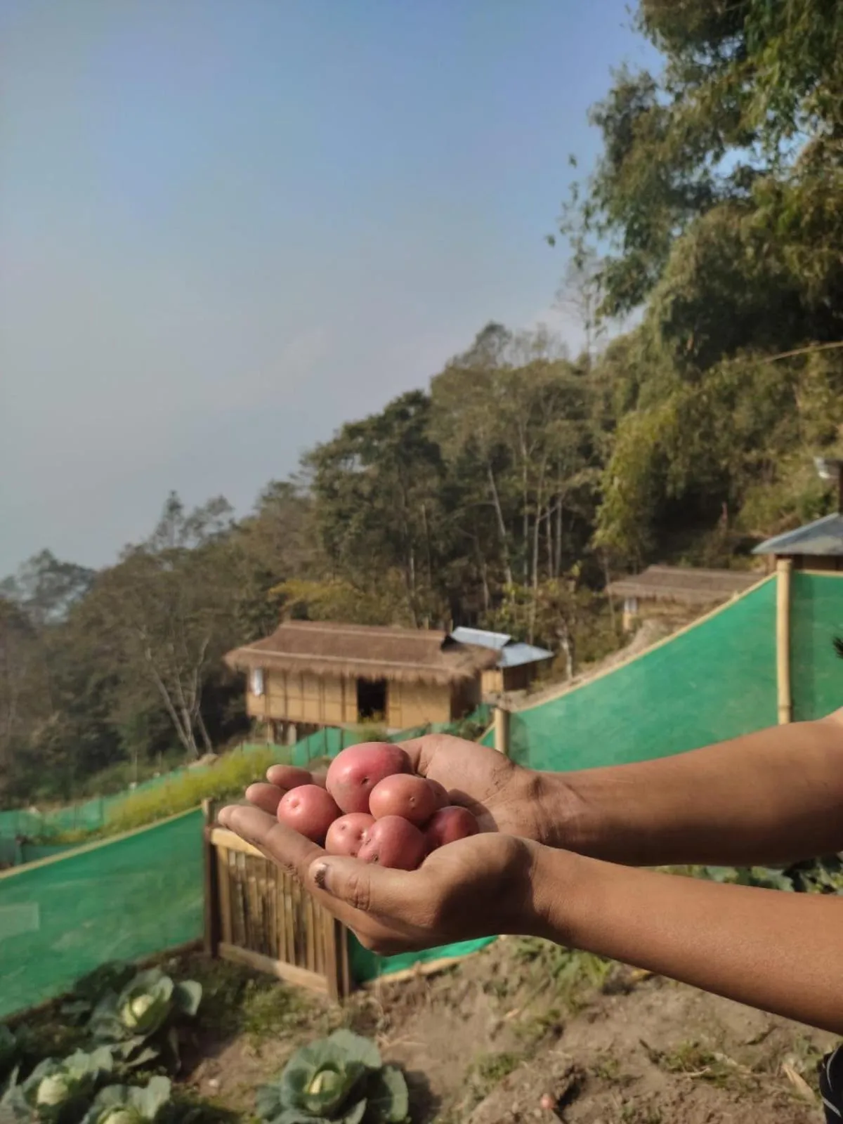 Meals in Art Mile Kalimpong