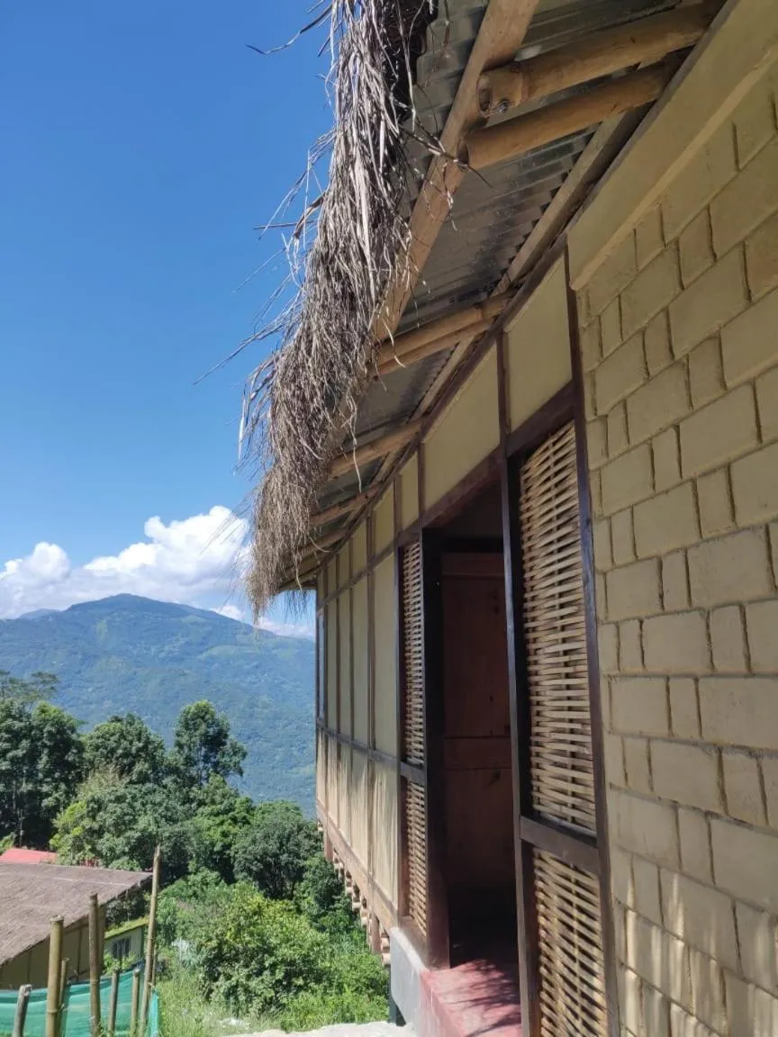 Property building in Art Mile Kalimpong