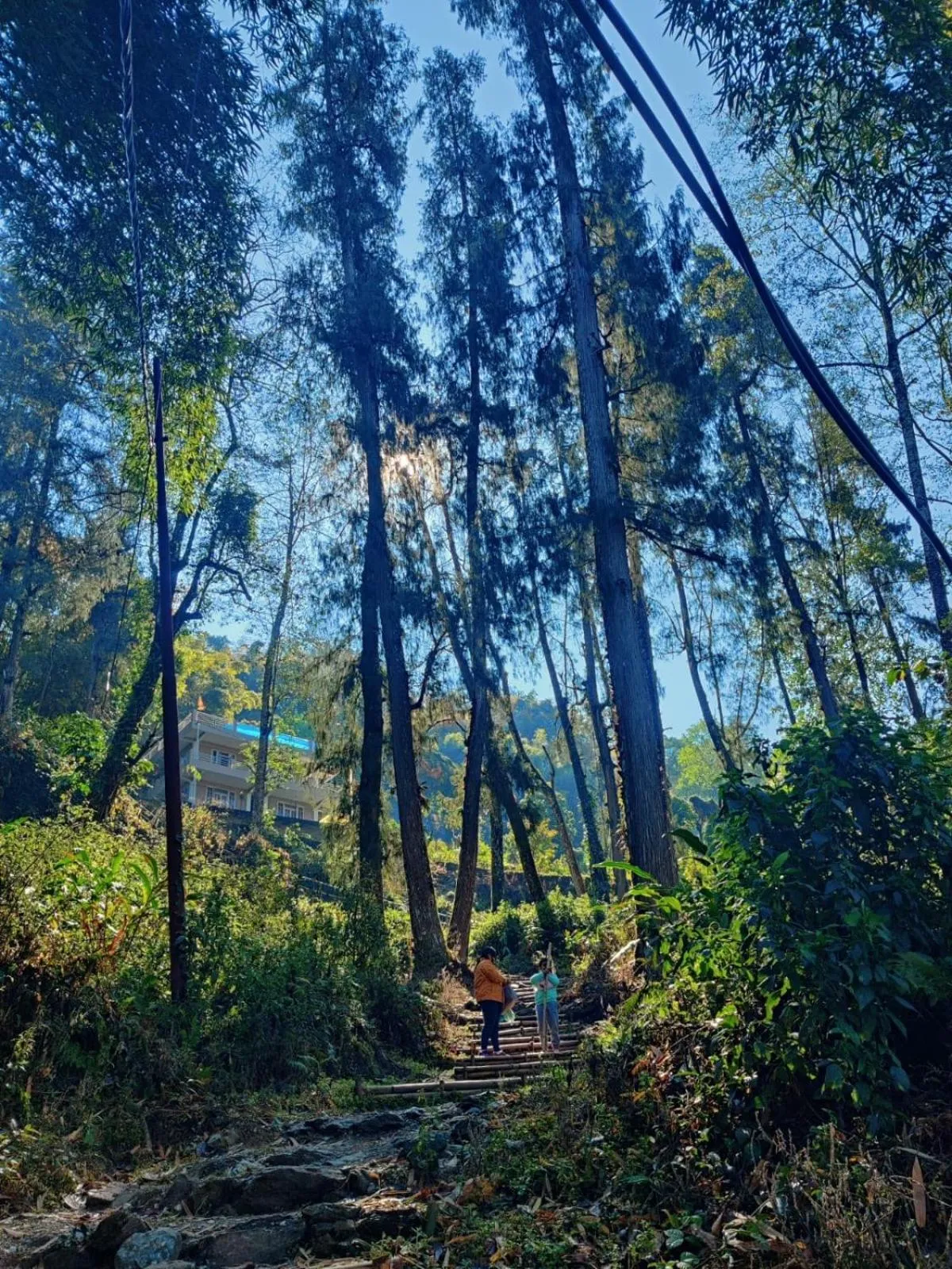 Activities in Art Mile Kalimpong