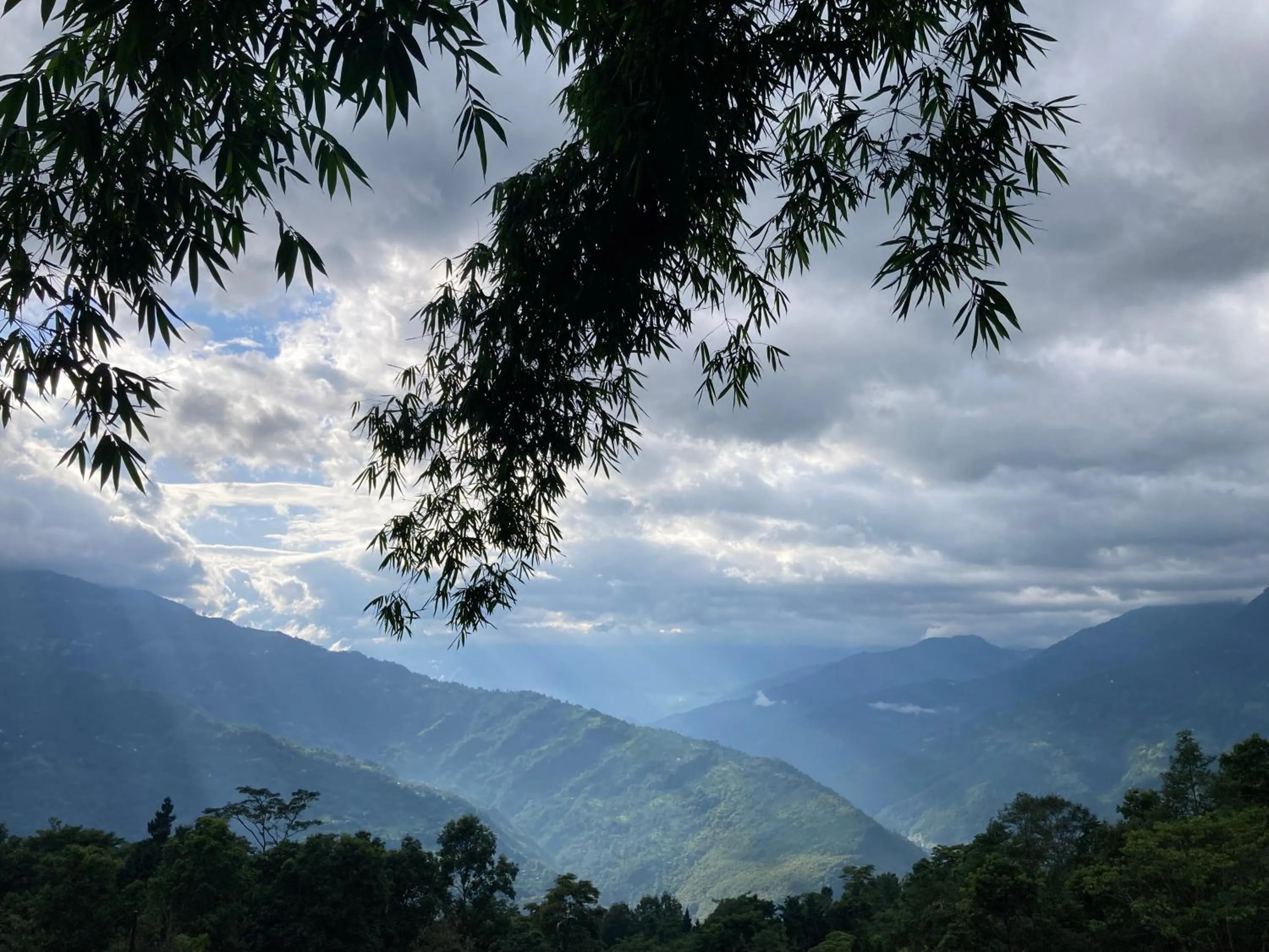 Mountain view in Art Mile Kalimpong