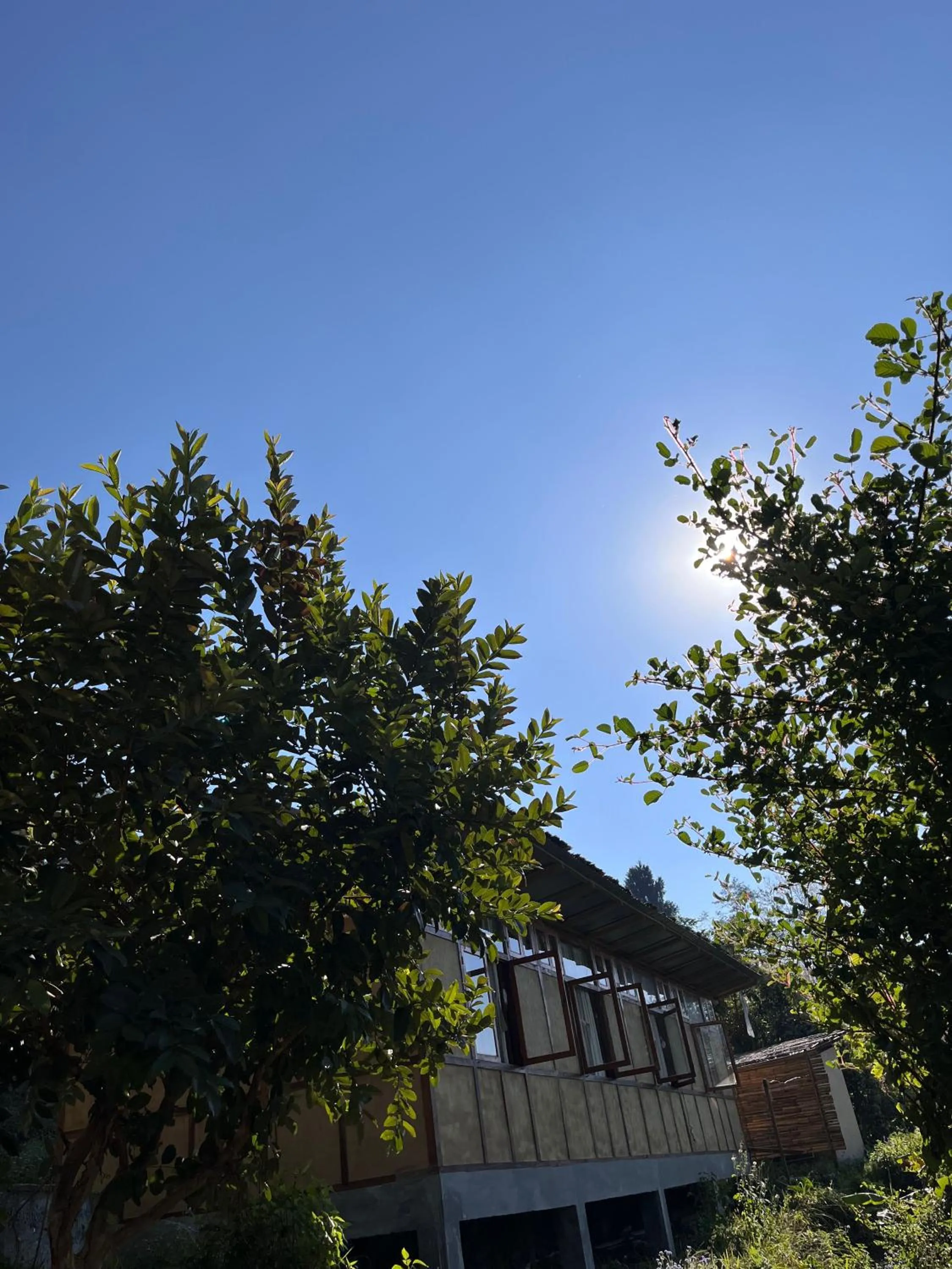 Property building in Art Mile Kalimpong