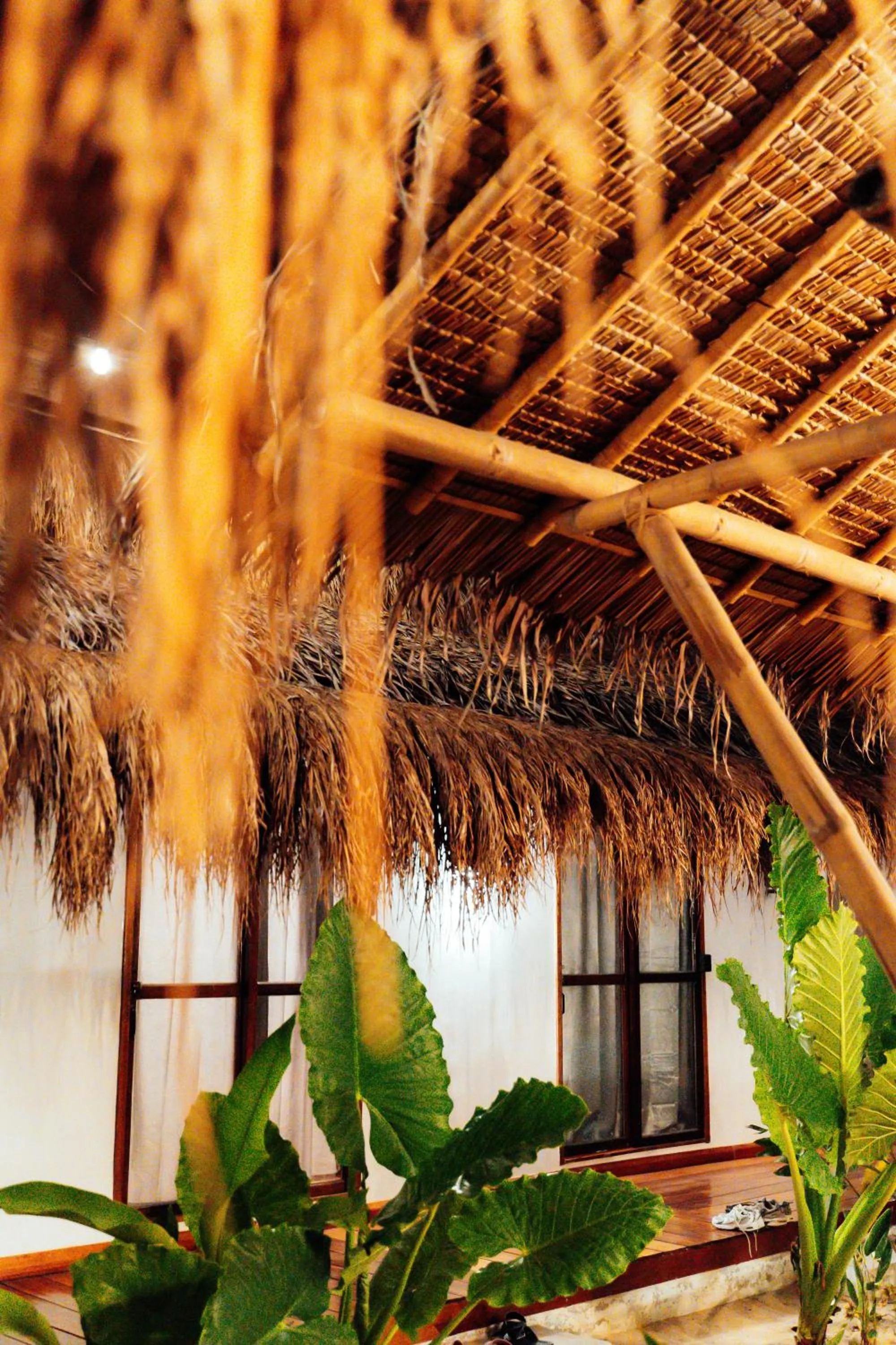 Property building in Mazawa Siargao