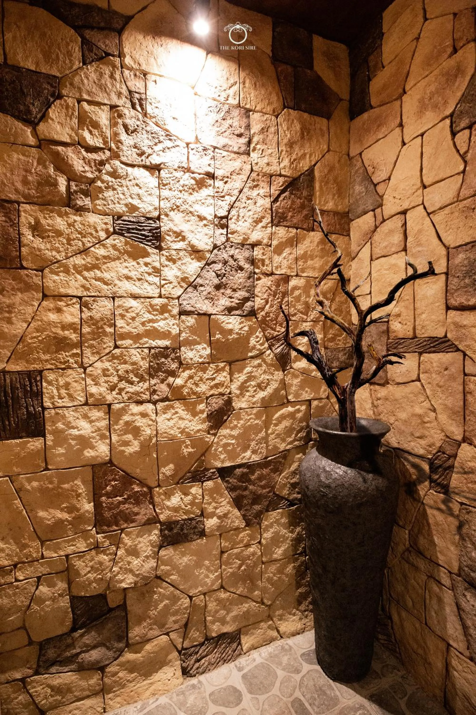 Shower in The Kori Sire