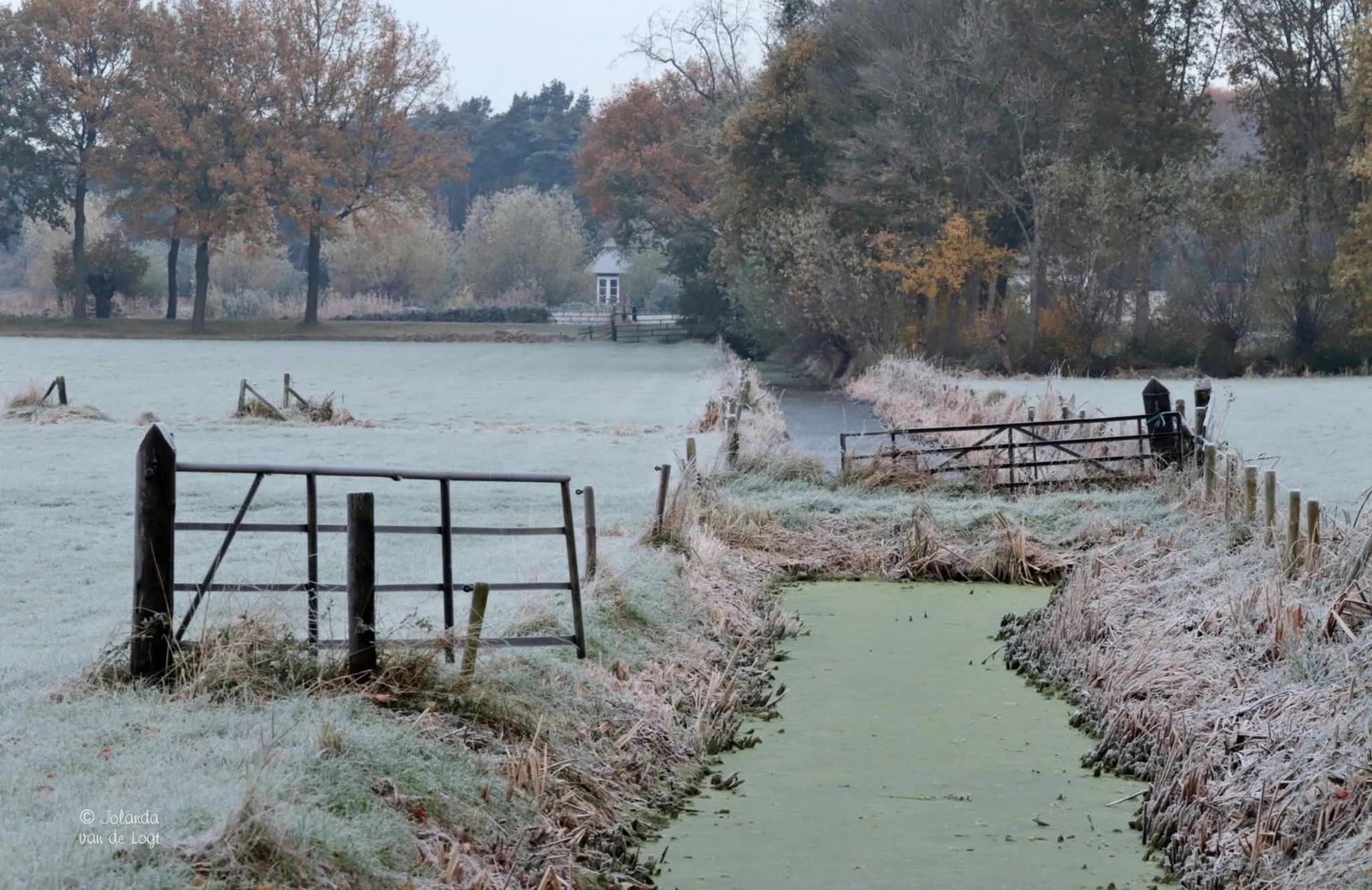 Natural landscape in Hotel Umberto