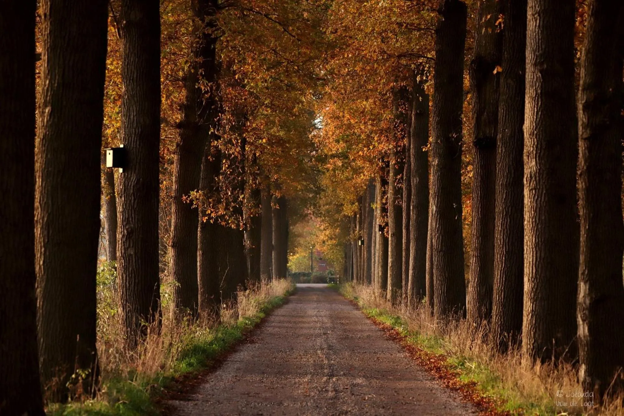 Neighbourhood in Hotel Umberto