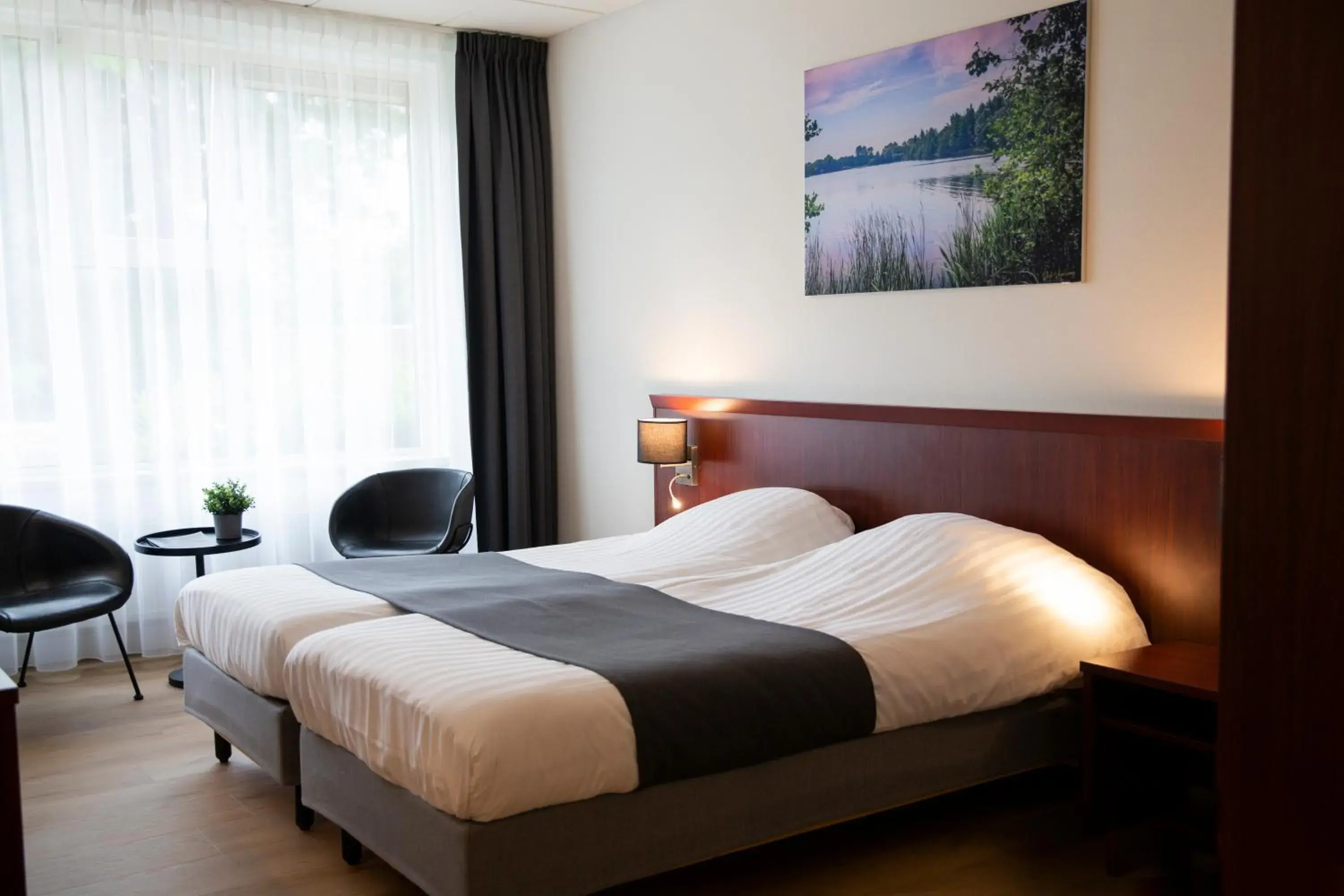 Deluxe Twin Room - single occupancy in Hotel Umberto Deluxe Twin Room - single occupancy in Hotel Umberto