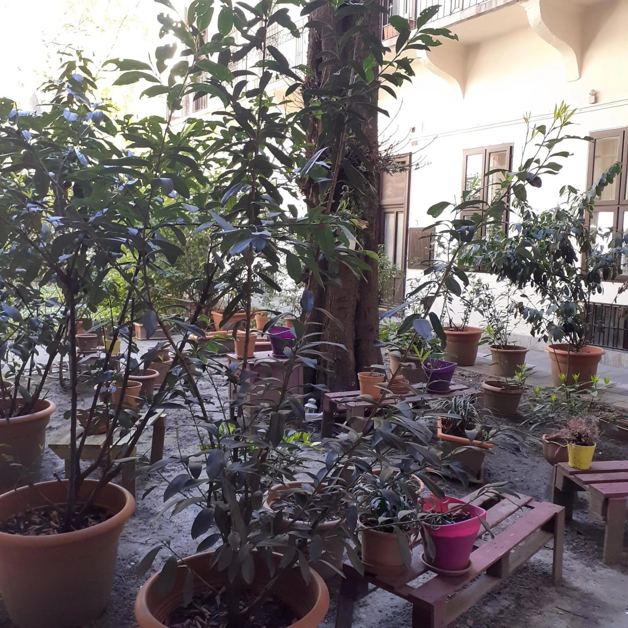 Property building in Amber Gardenview Studios Downtown