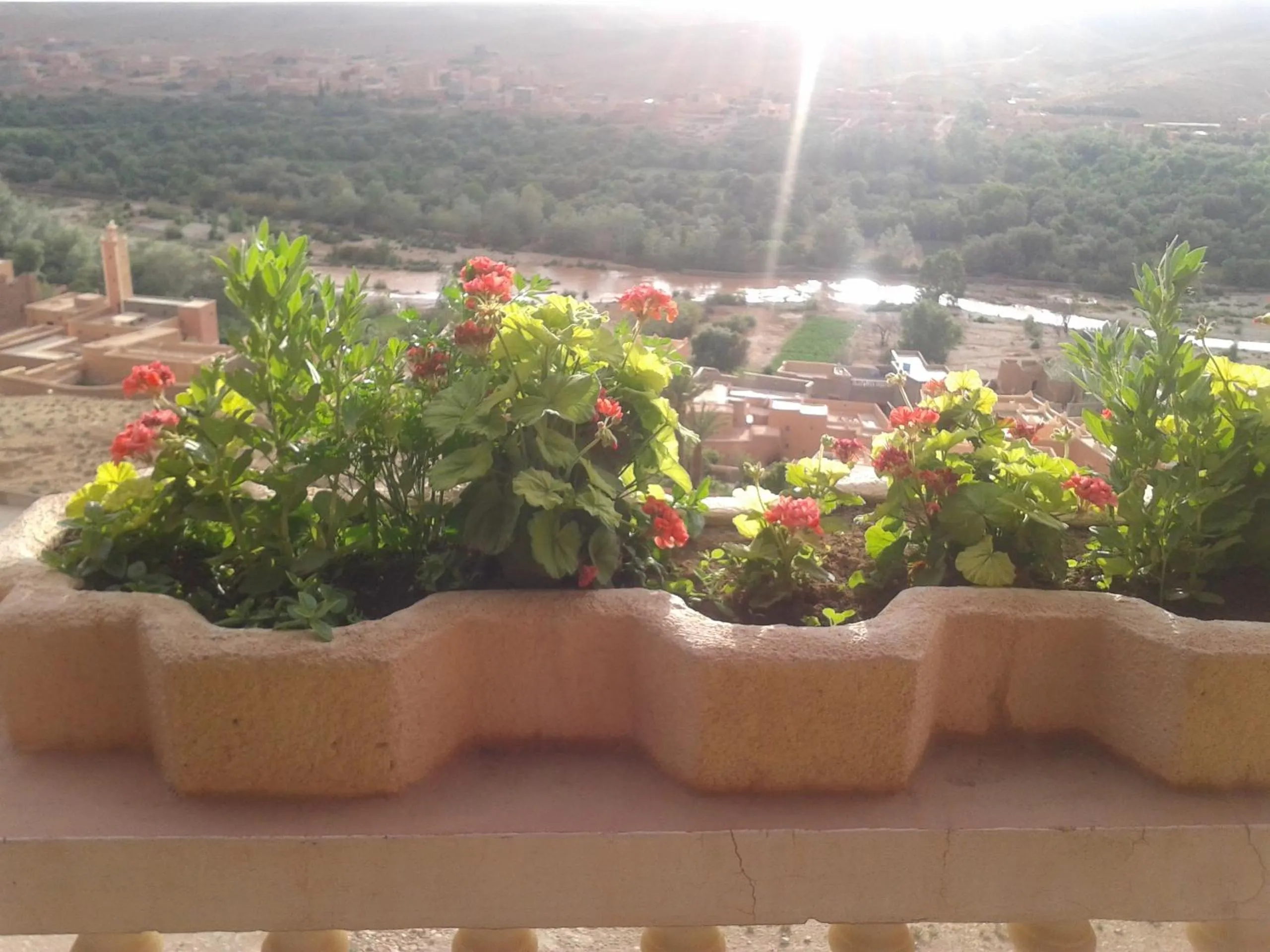 Patio in Hotel Almanader