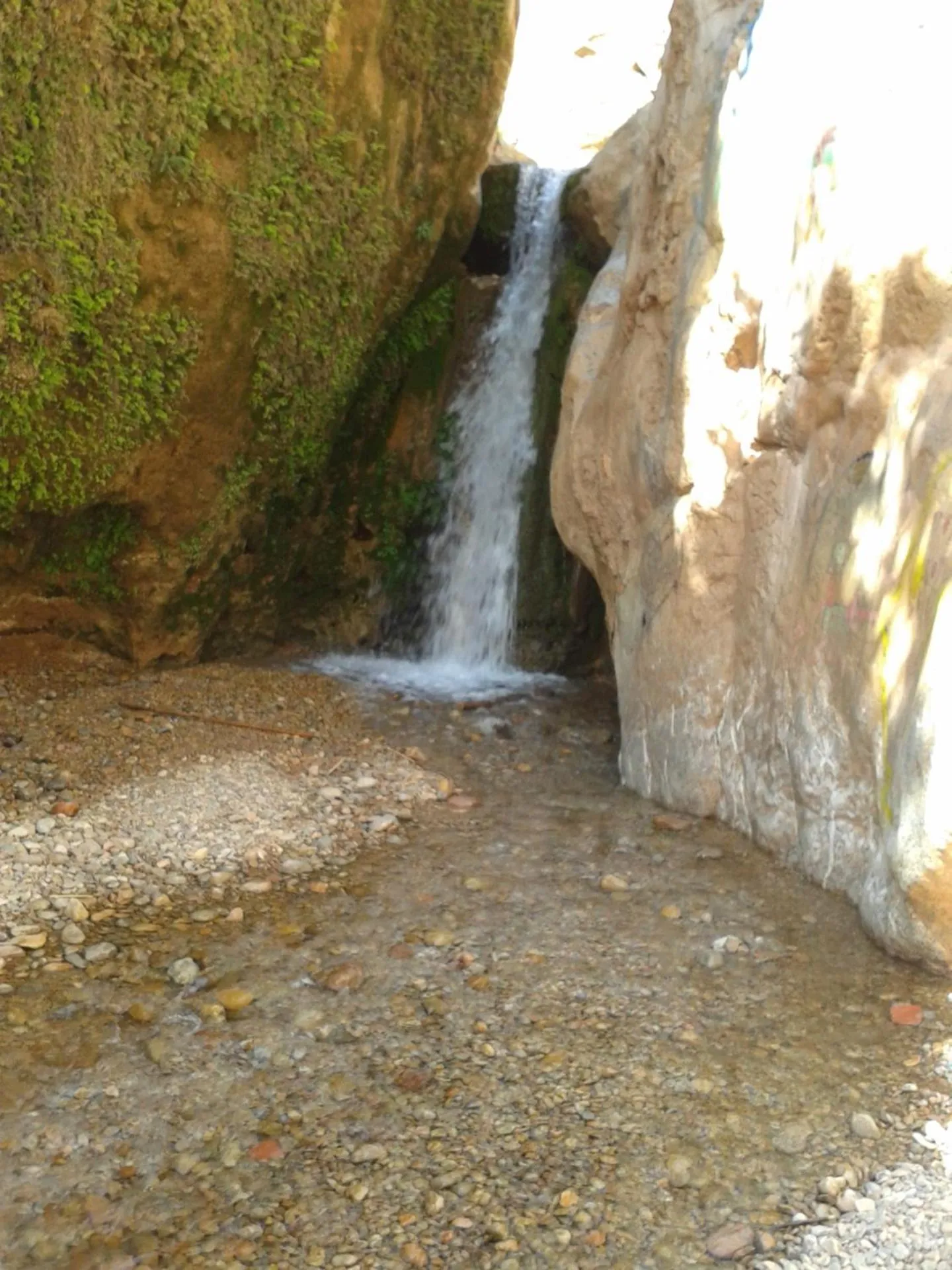 Area and facilities in Hotel Almanader