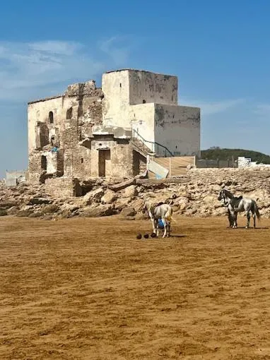 sidi kaouki ayt karoum