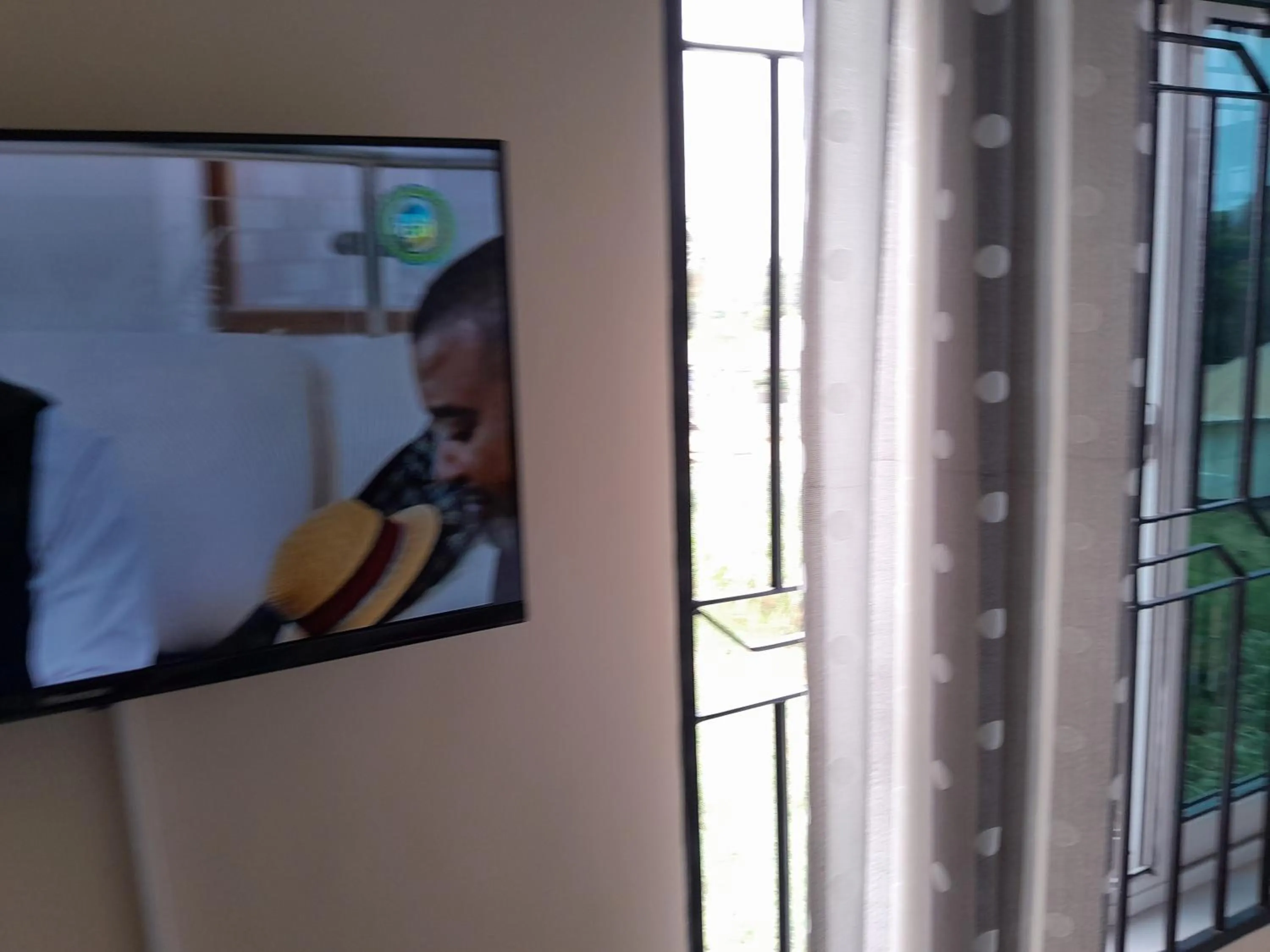 TV and multimedia in WILIVINA HOTEL