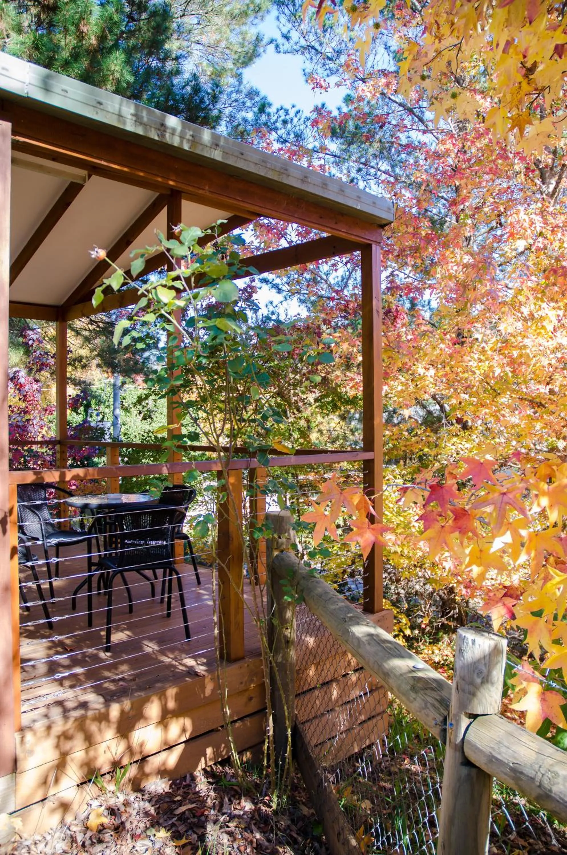 Day in BIG4 Tasman Holiday Parks - Bright