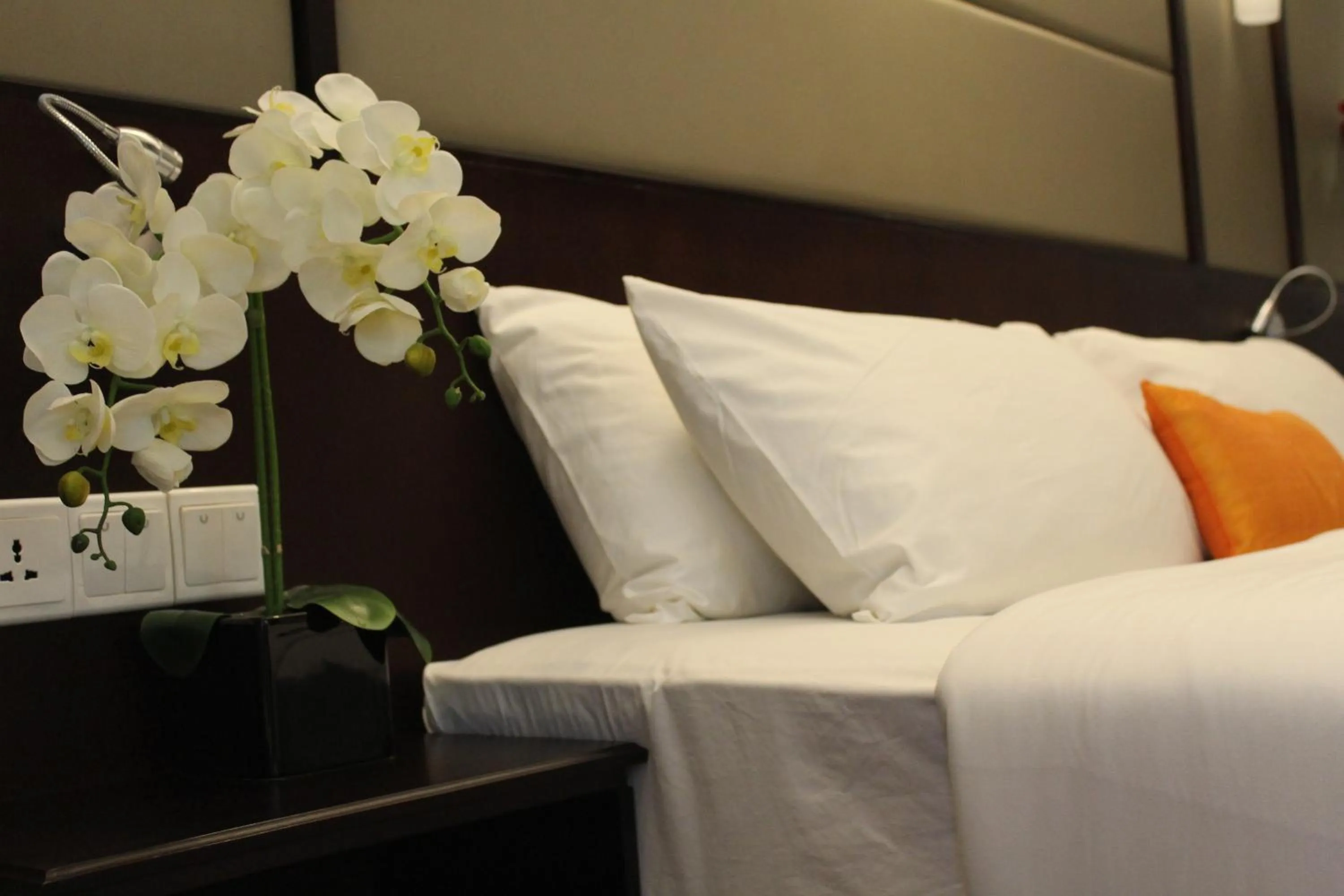 Bed in Harmony Phnom Penh Hotel