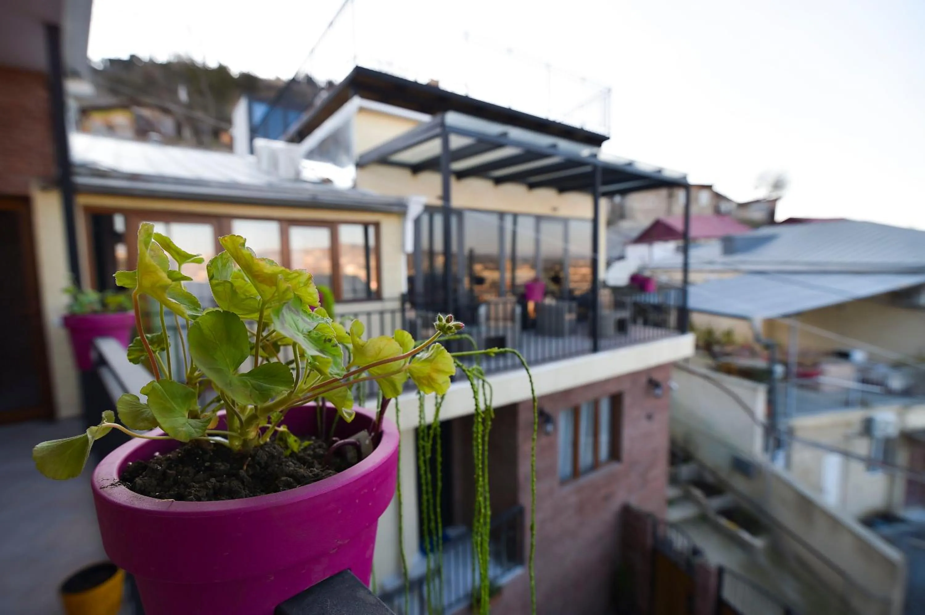 Property building in Kraveli Hotel