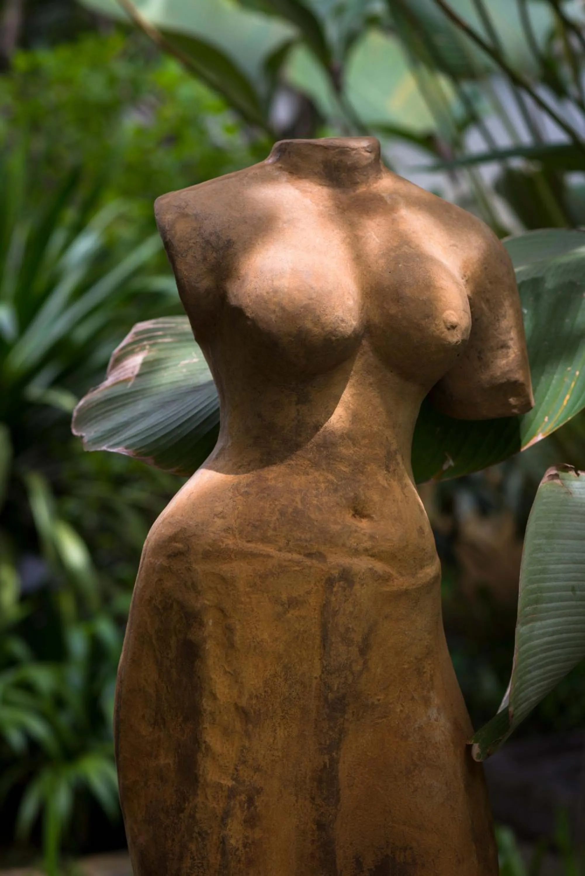 Garden view in Sokkhak Boutique Resort & Spa