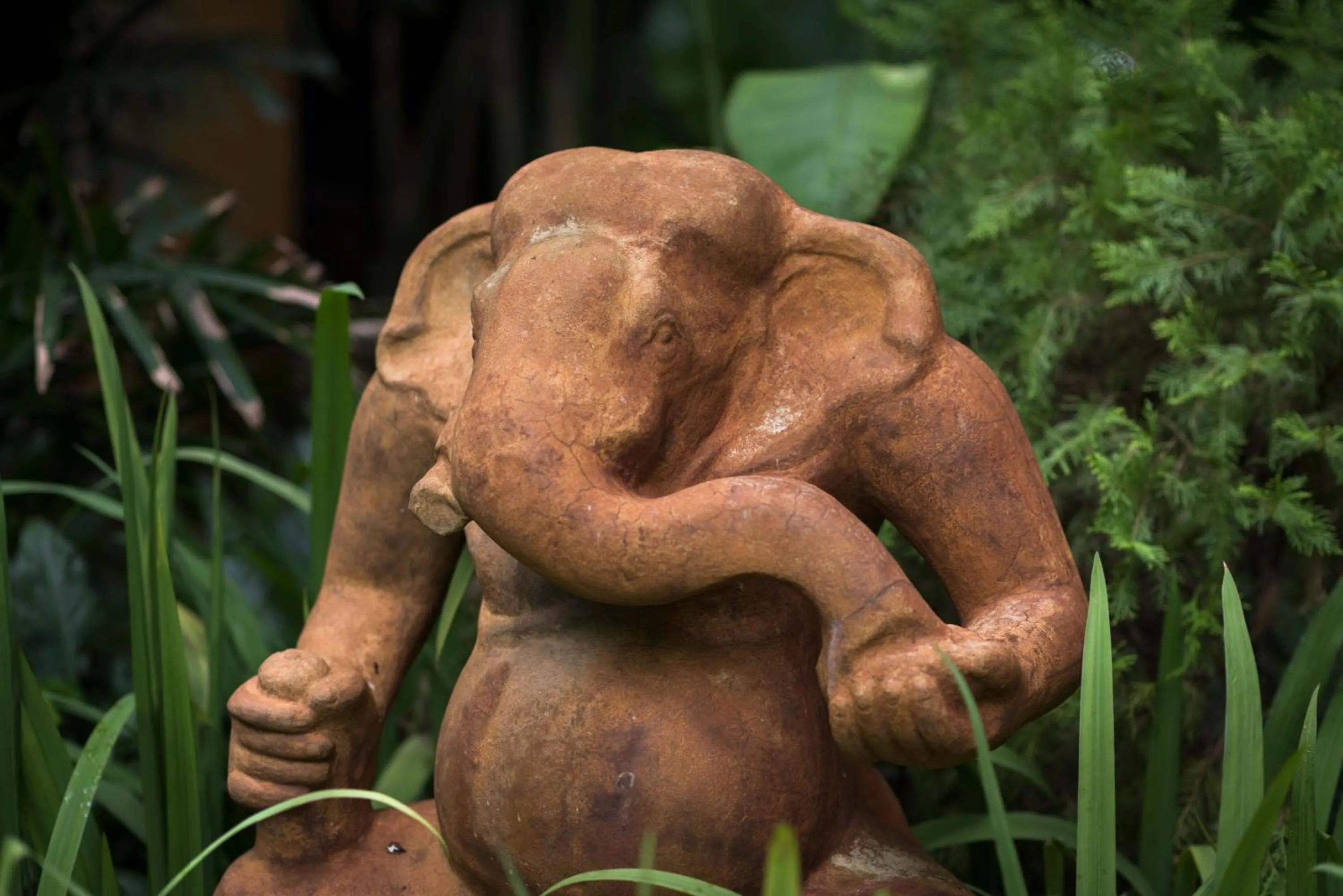 Garden view in Sokkhak Boutique Resort & Spa