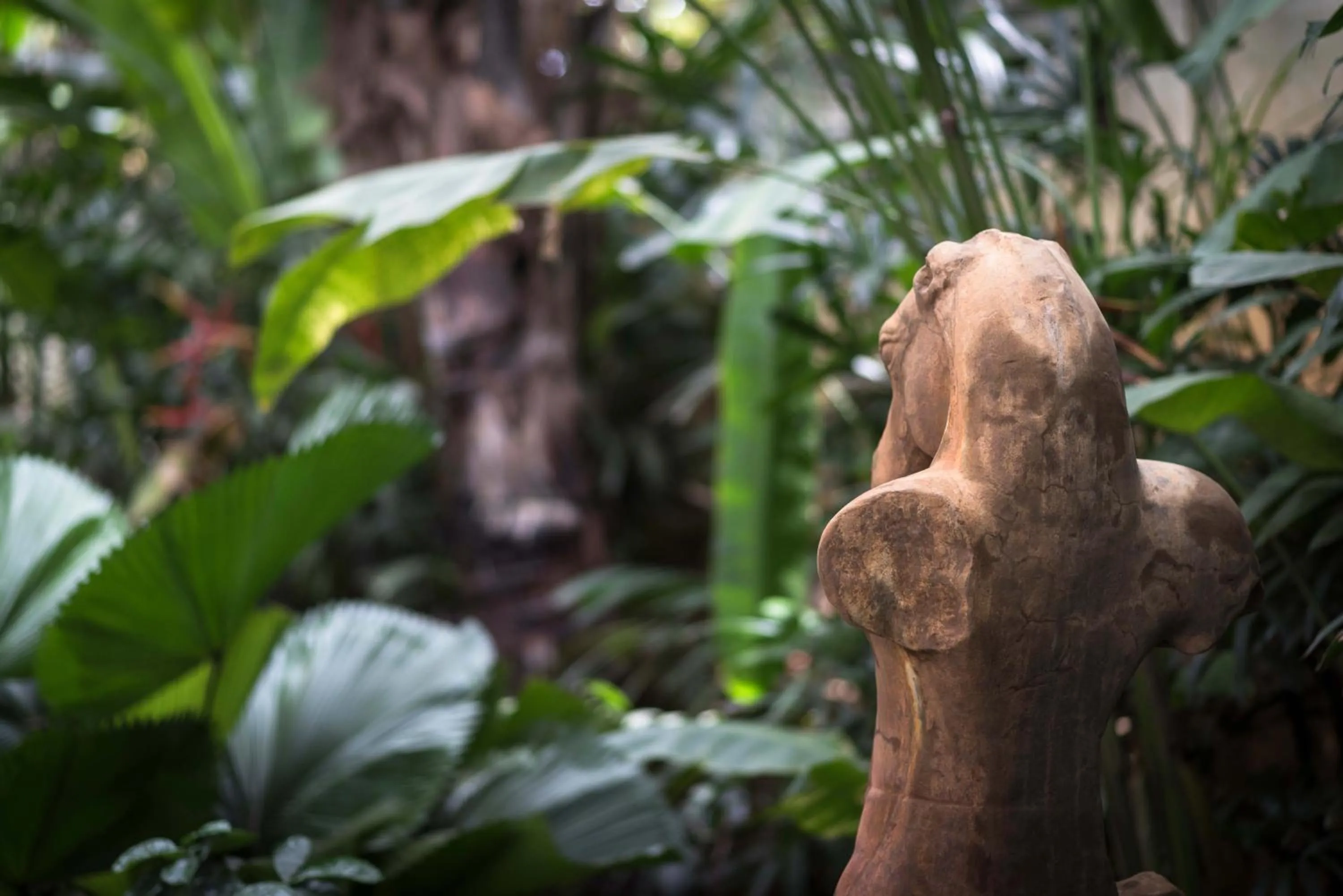 Garden in Sokkhak Boutique Resort & Spa