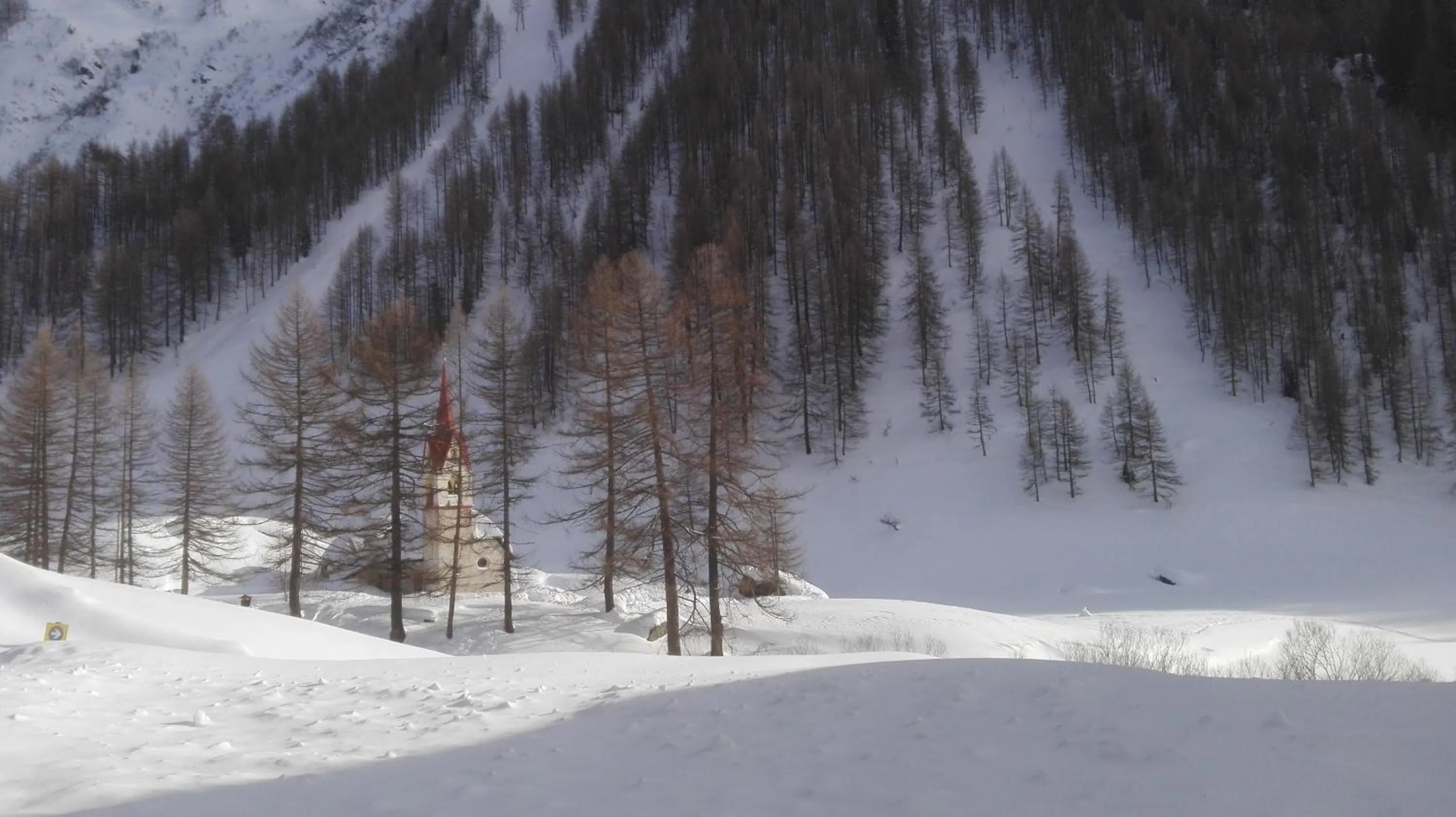 Natural landscape in Hotel Garni Angerer