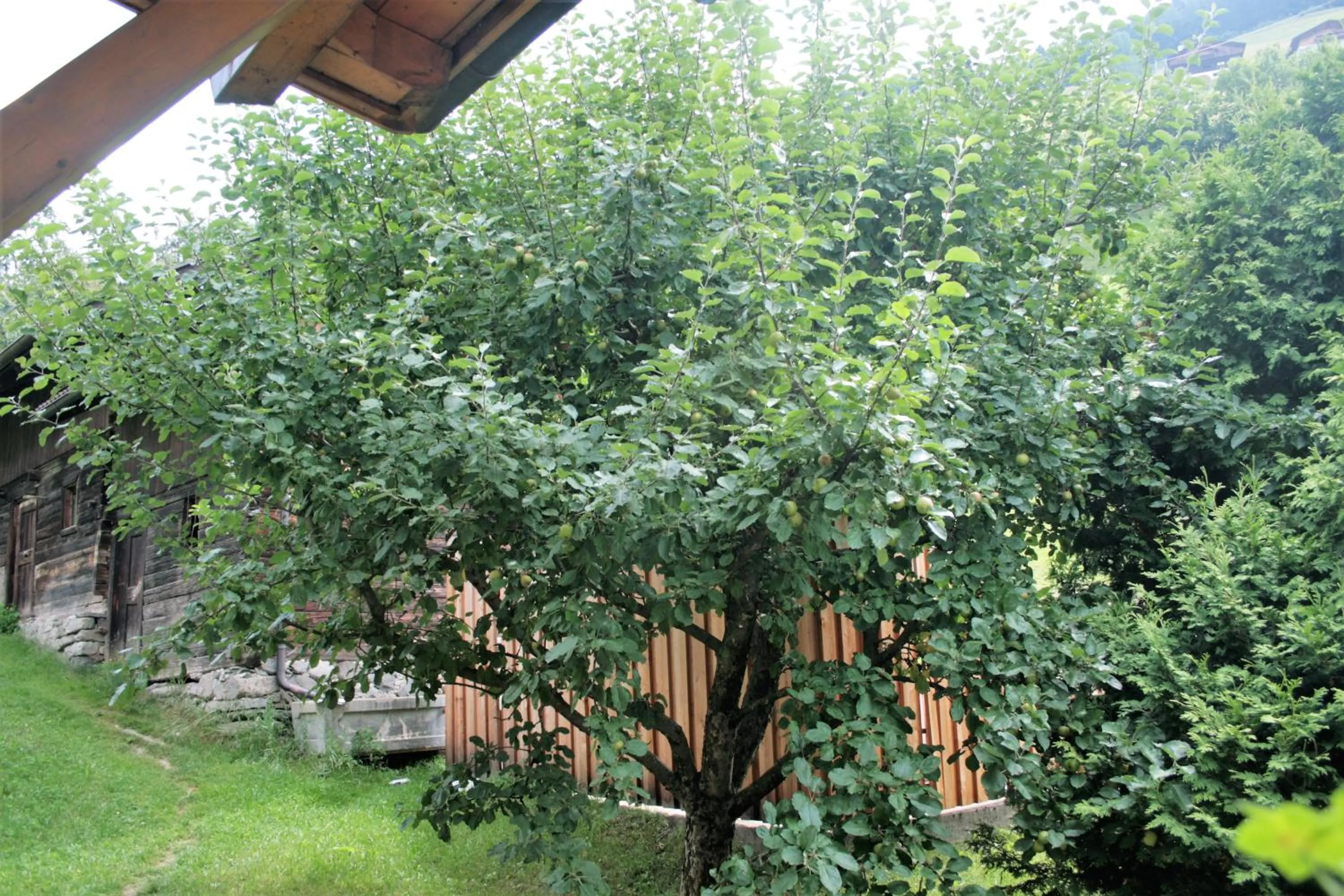 Garden view in Hotel Garni Angerer