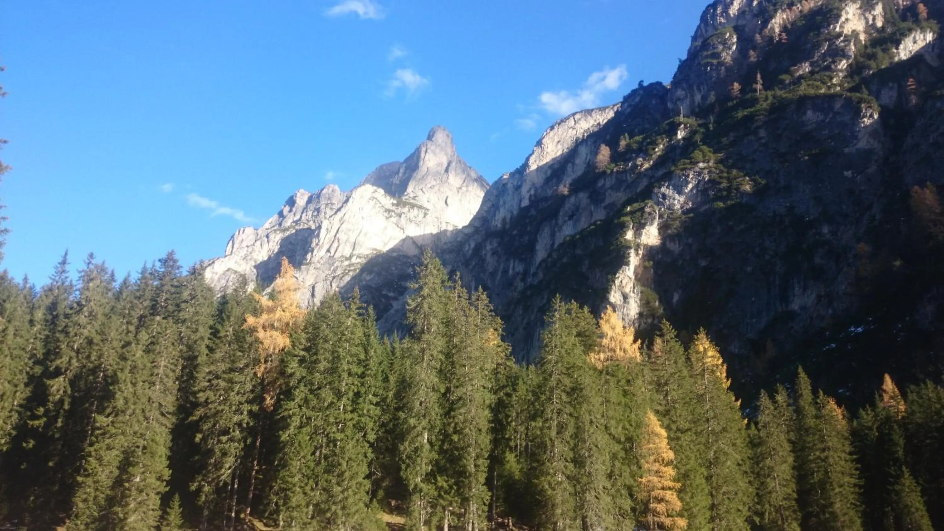 Hiking in Hotel Garni Angerer