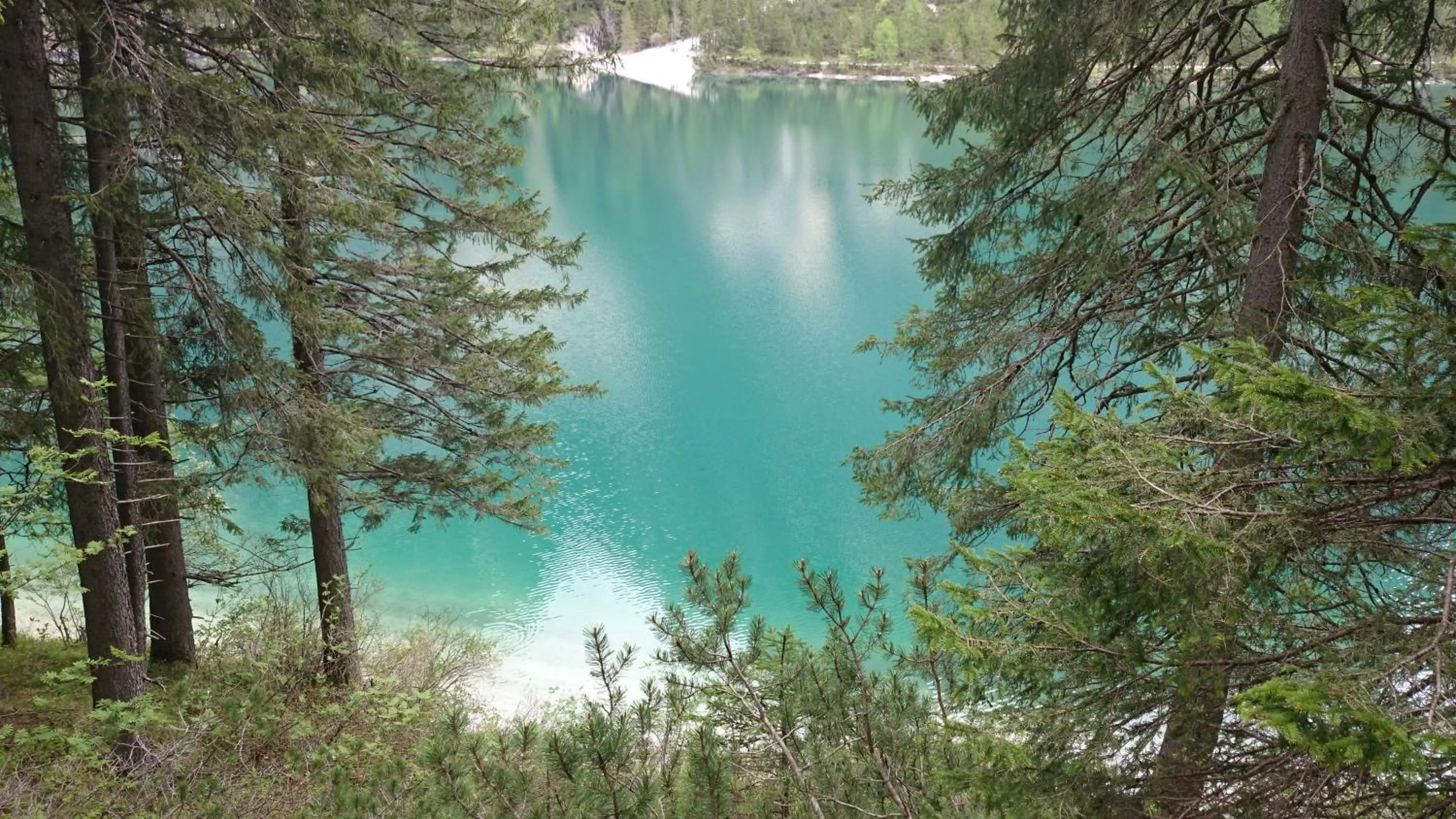Natural landscape in Hotel Garni Angerer