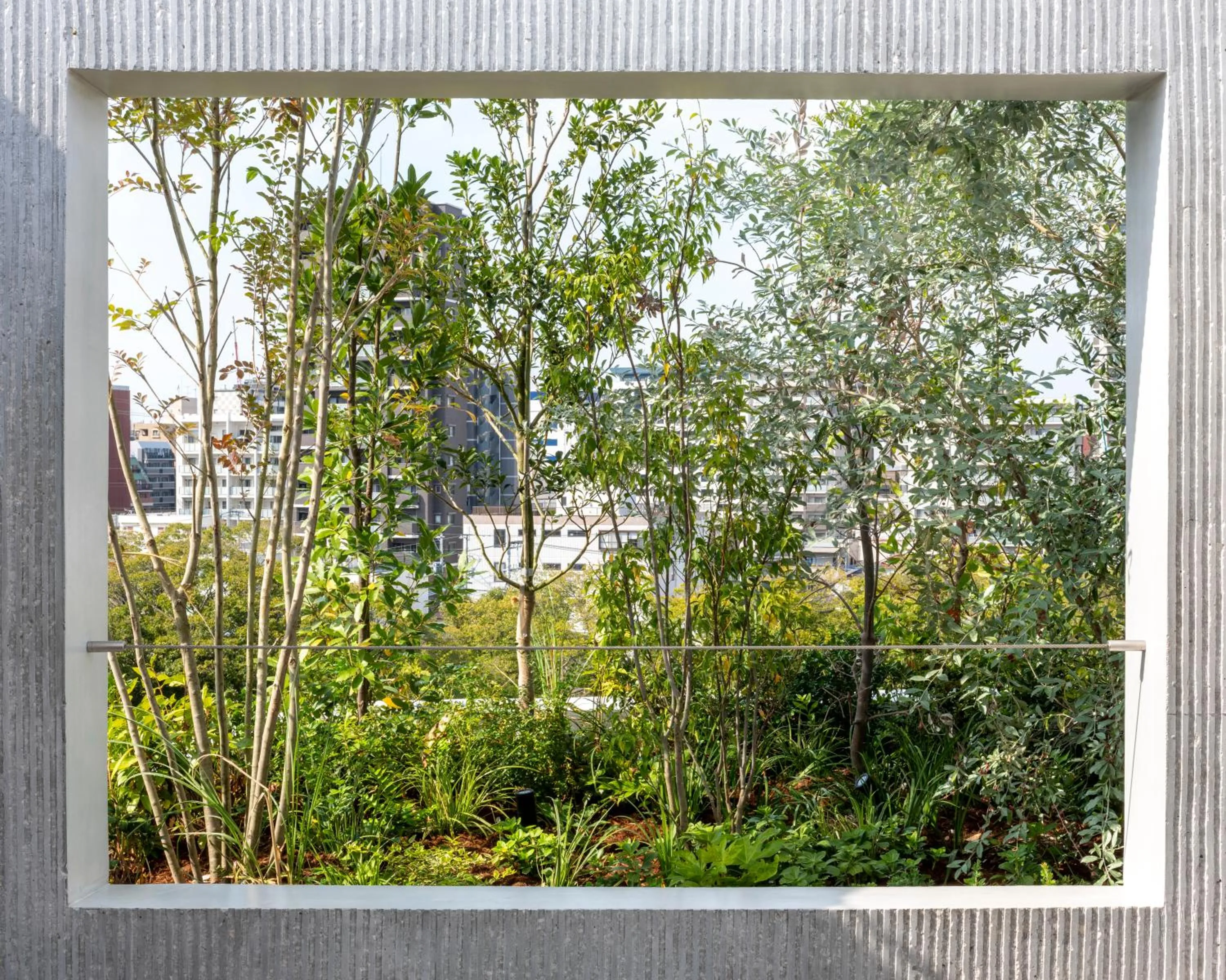 Garden view in NOT A HOTEL FUKUOKA