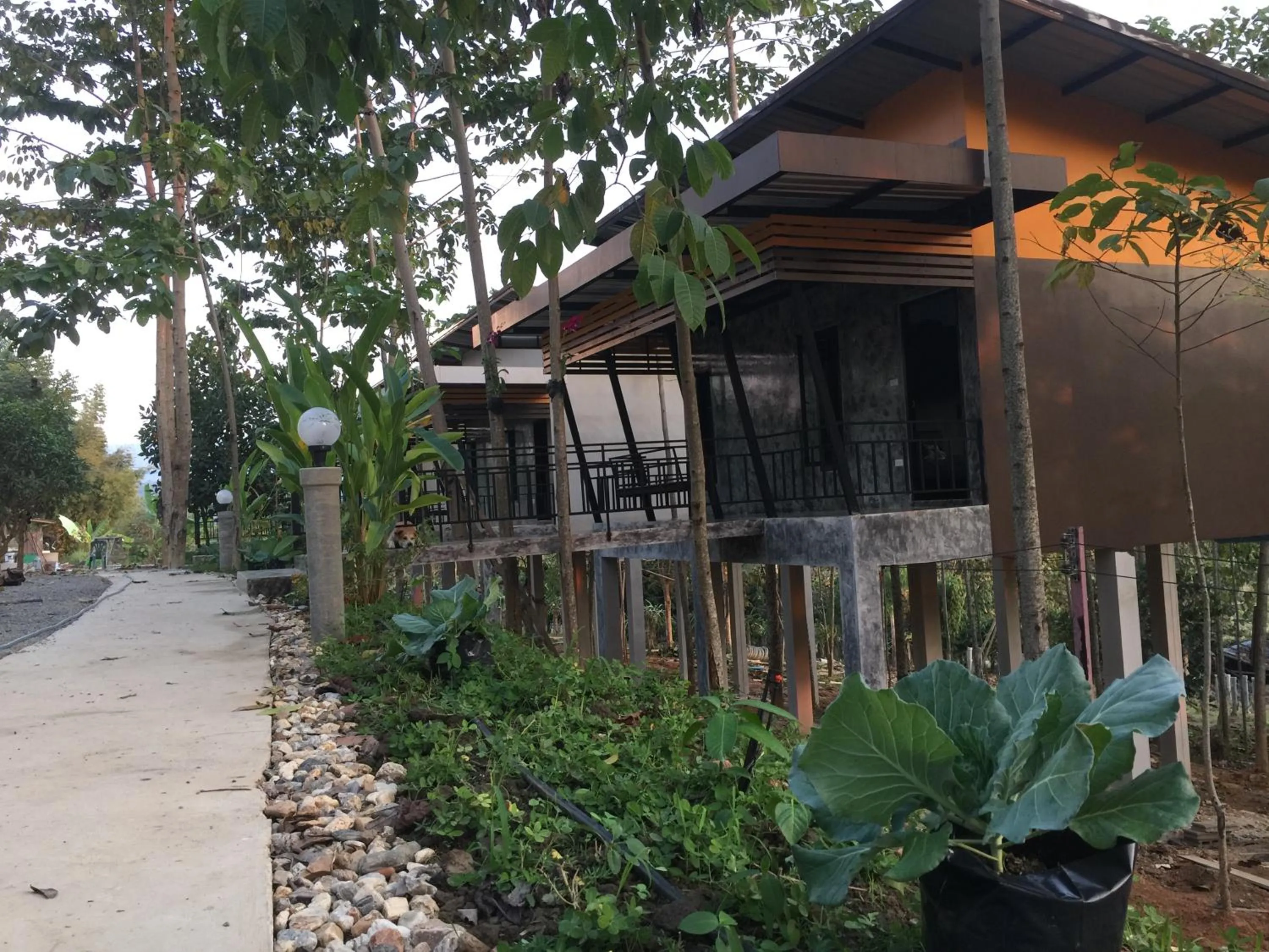 Baan Rai Phufah Resort Chiangrai