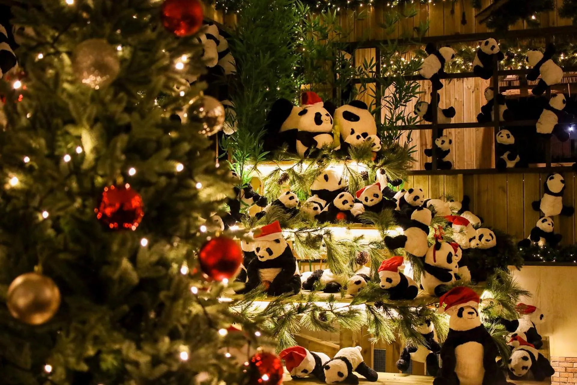 Activities in Yeosu Calacatta Hotel & Resort