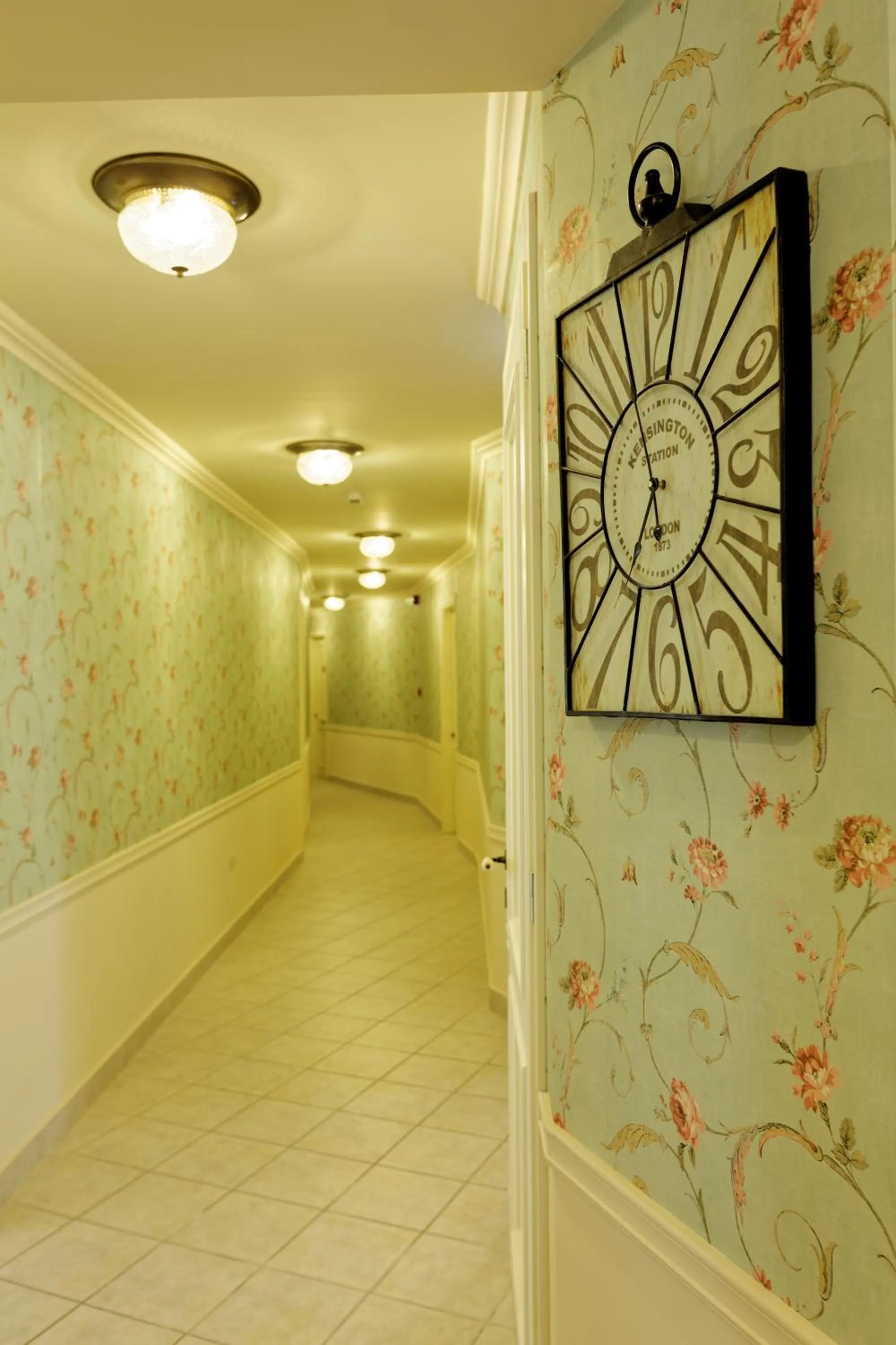 Area and facilities in Ionia Suites