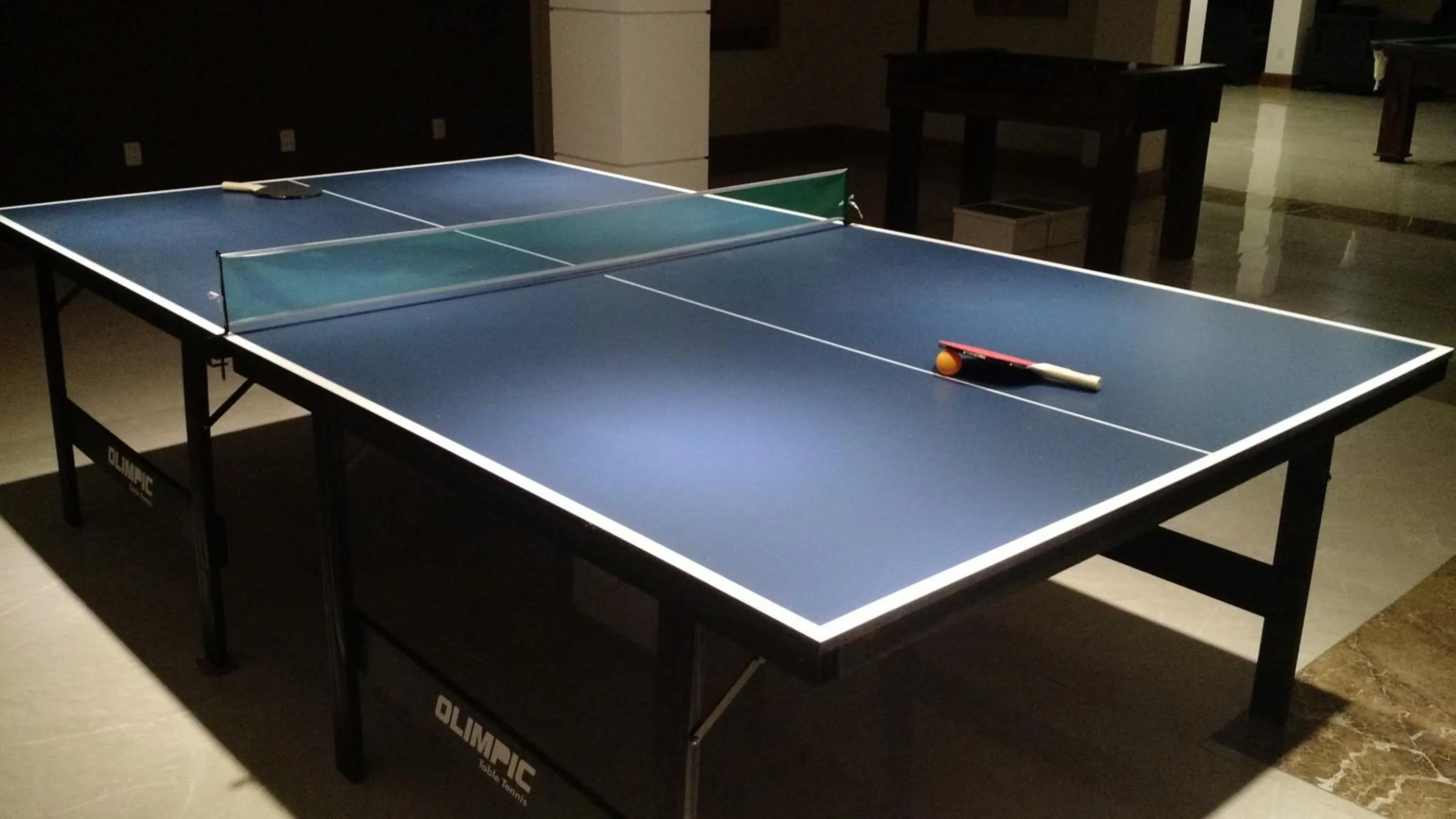 Table tennis in Hotel Willisau