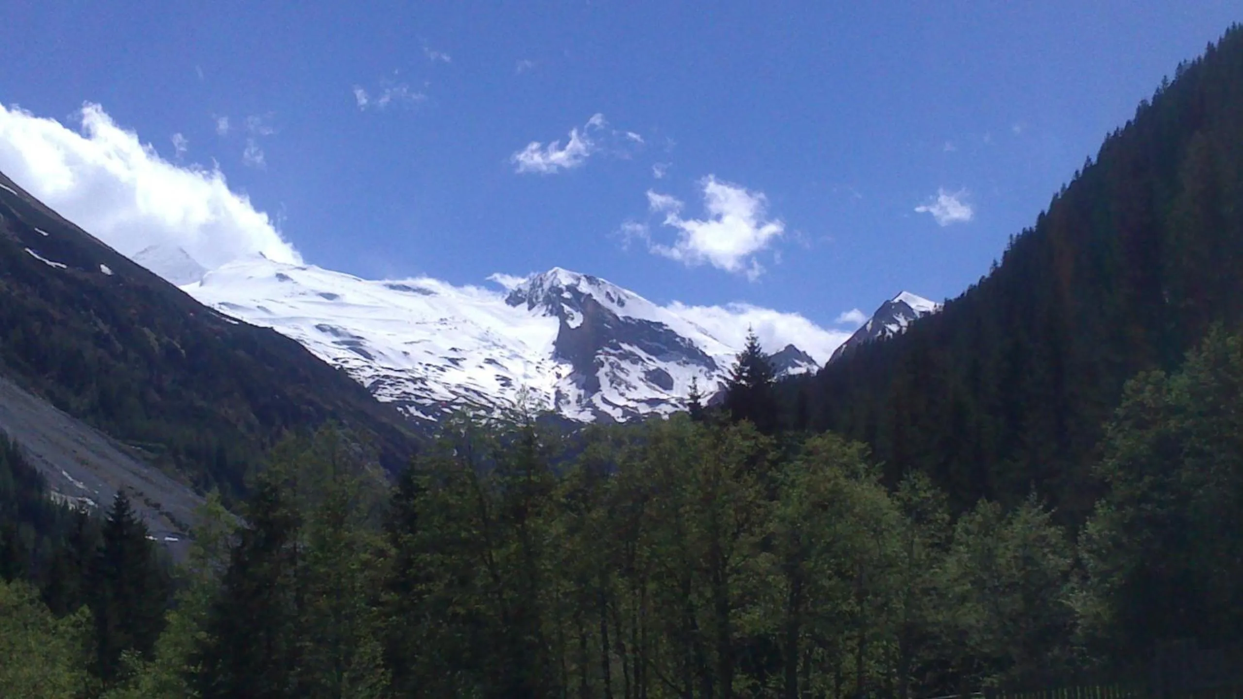 Natural landscape in Mehlerhof