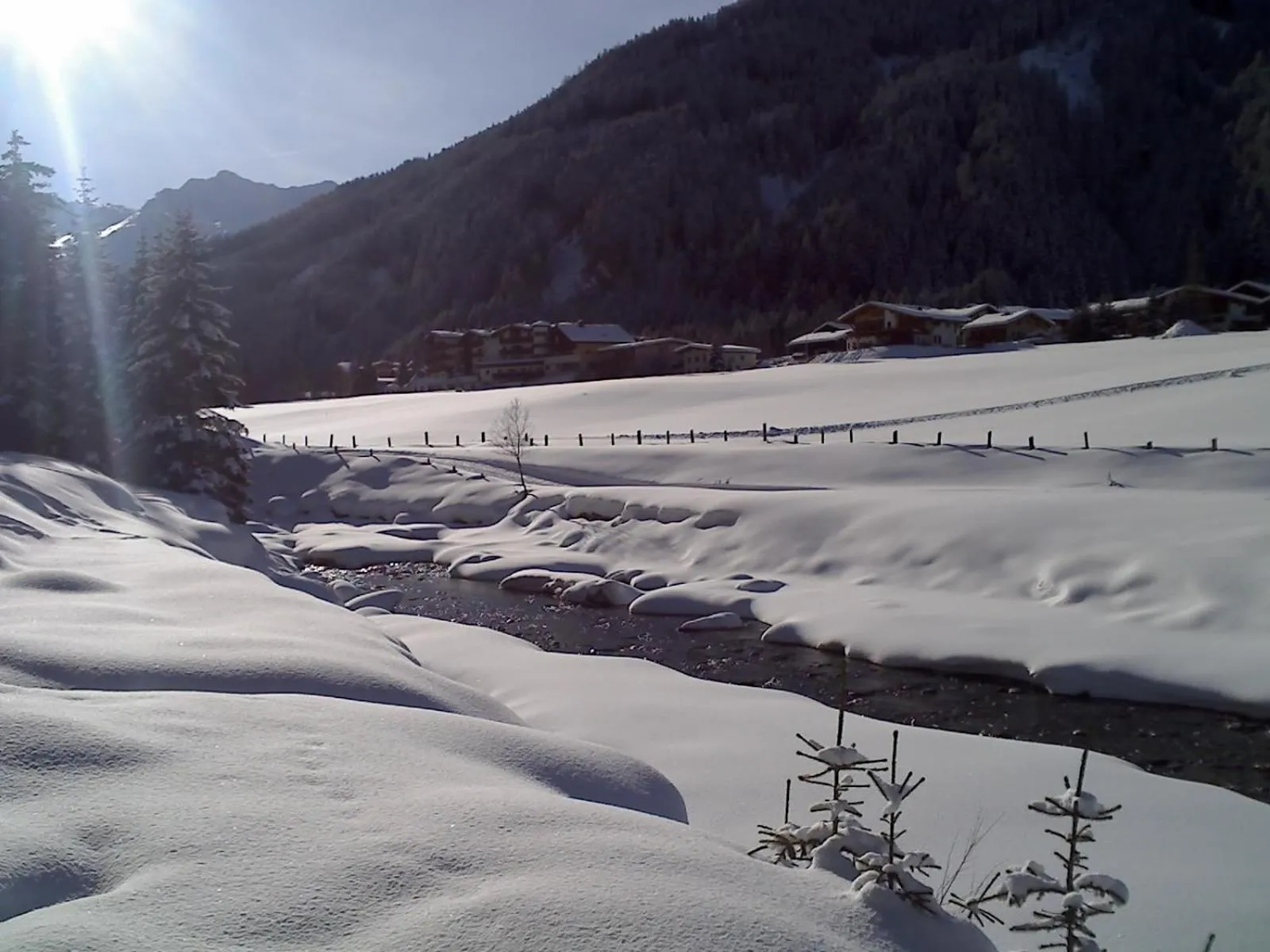Natural landscape in Mehlerhof