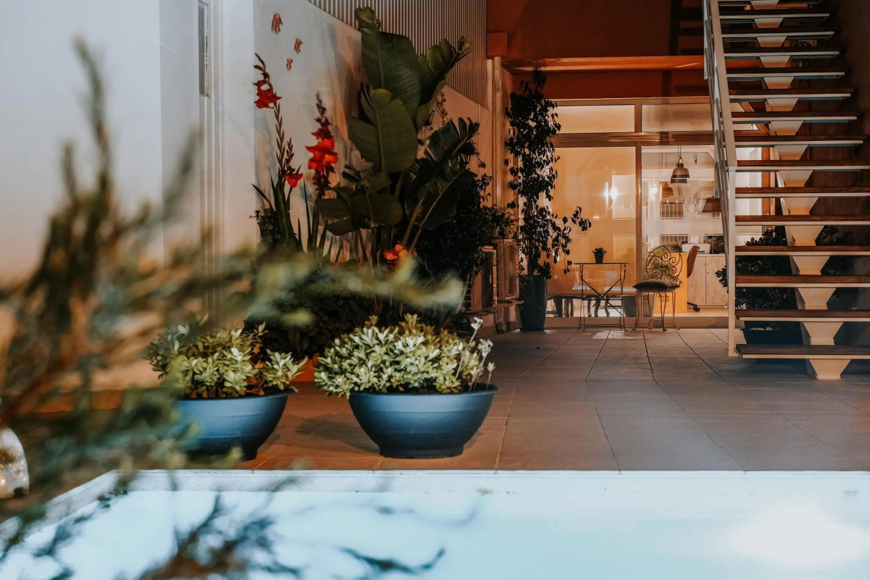 Night in Casa Morgados - Grândola Guesthouse