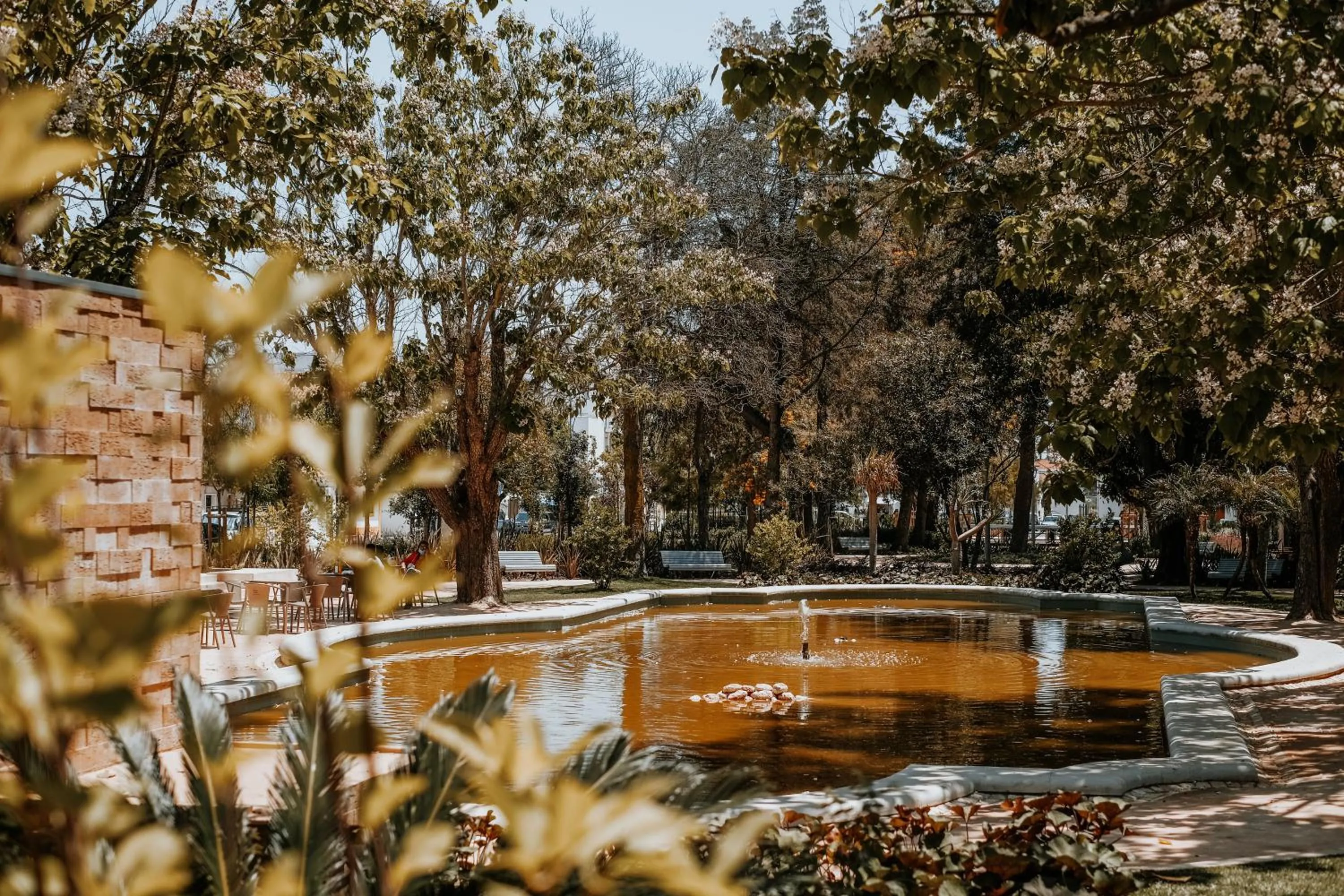 Natural landscape in Casa Morgados - Grândola Guesthouse