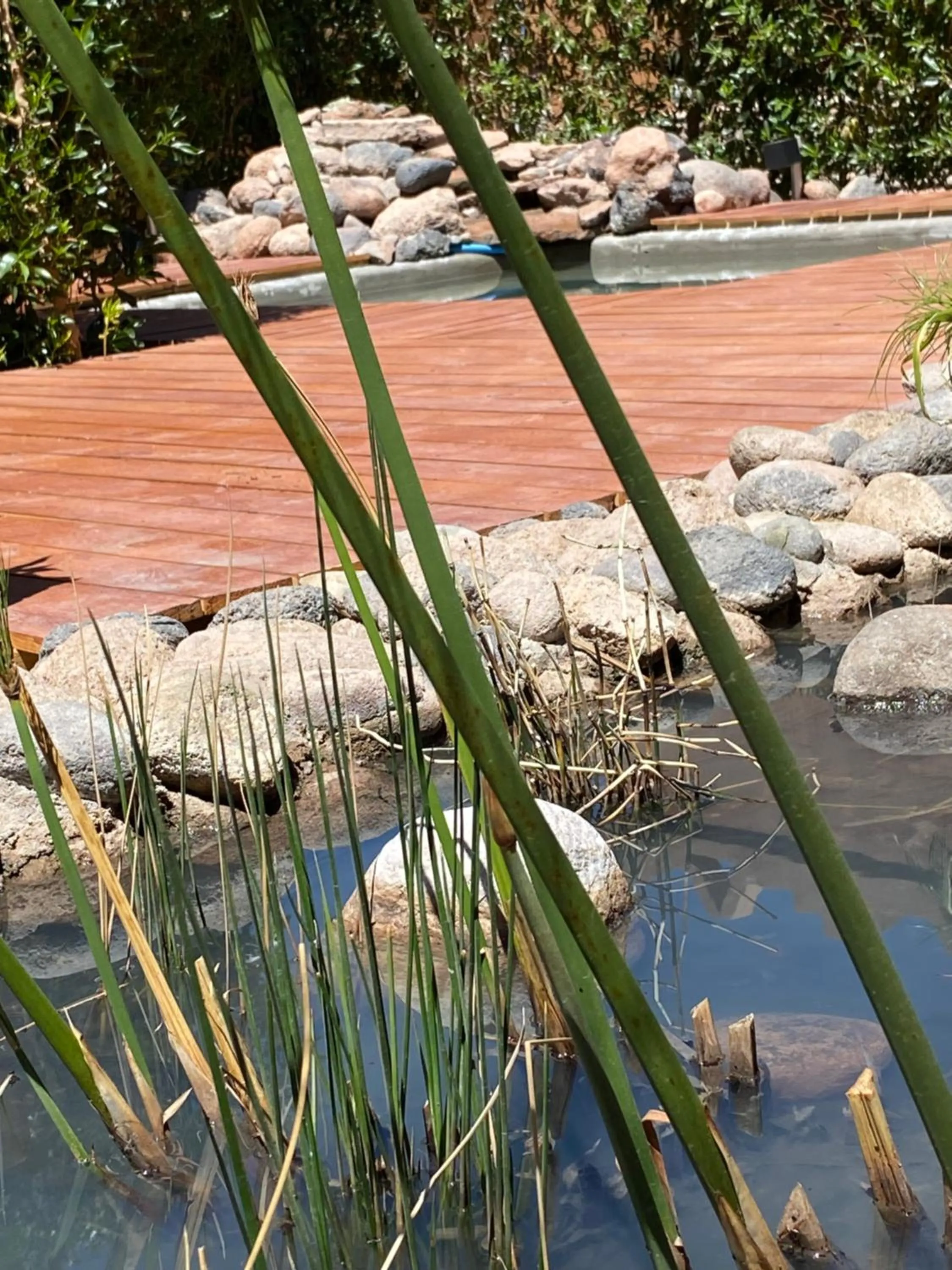 Day in Hoteles Pueblo de Tierra