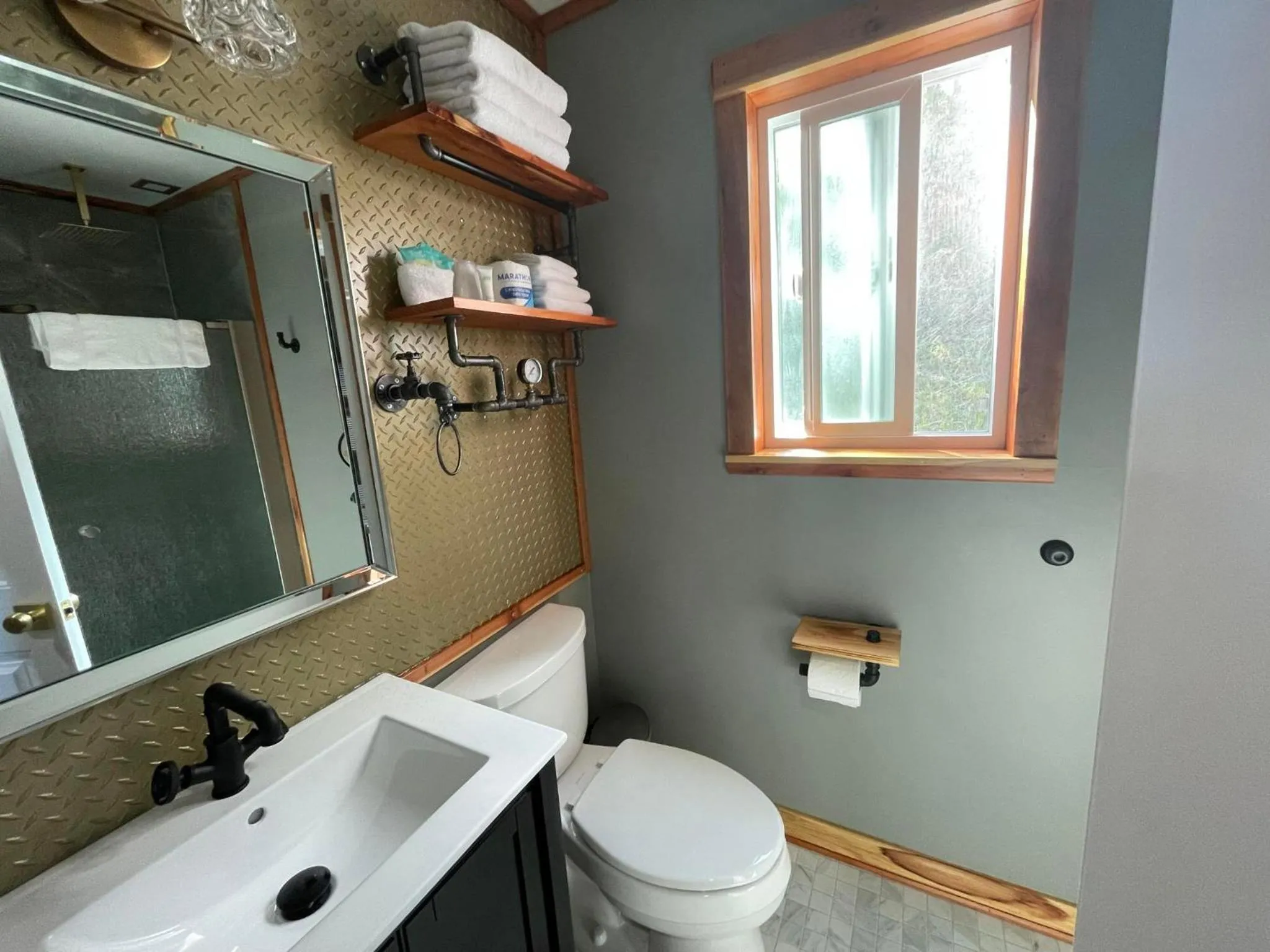 Toilet in Sugarloaf Mountain Motel