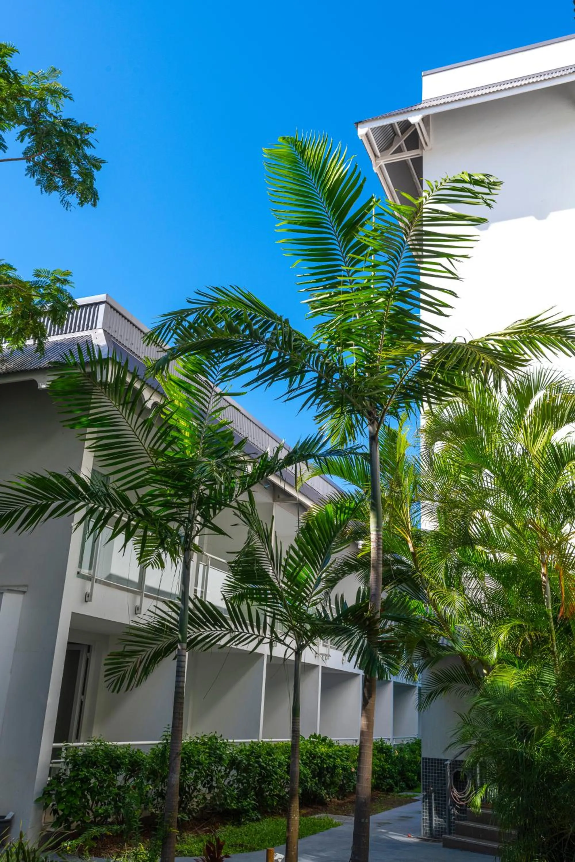 Garden view in Hotel Beaurivage