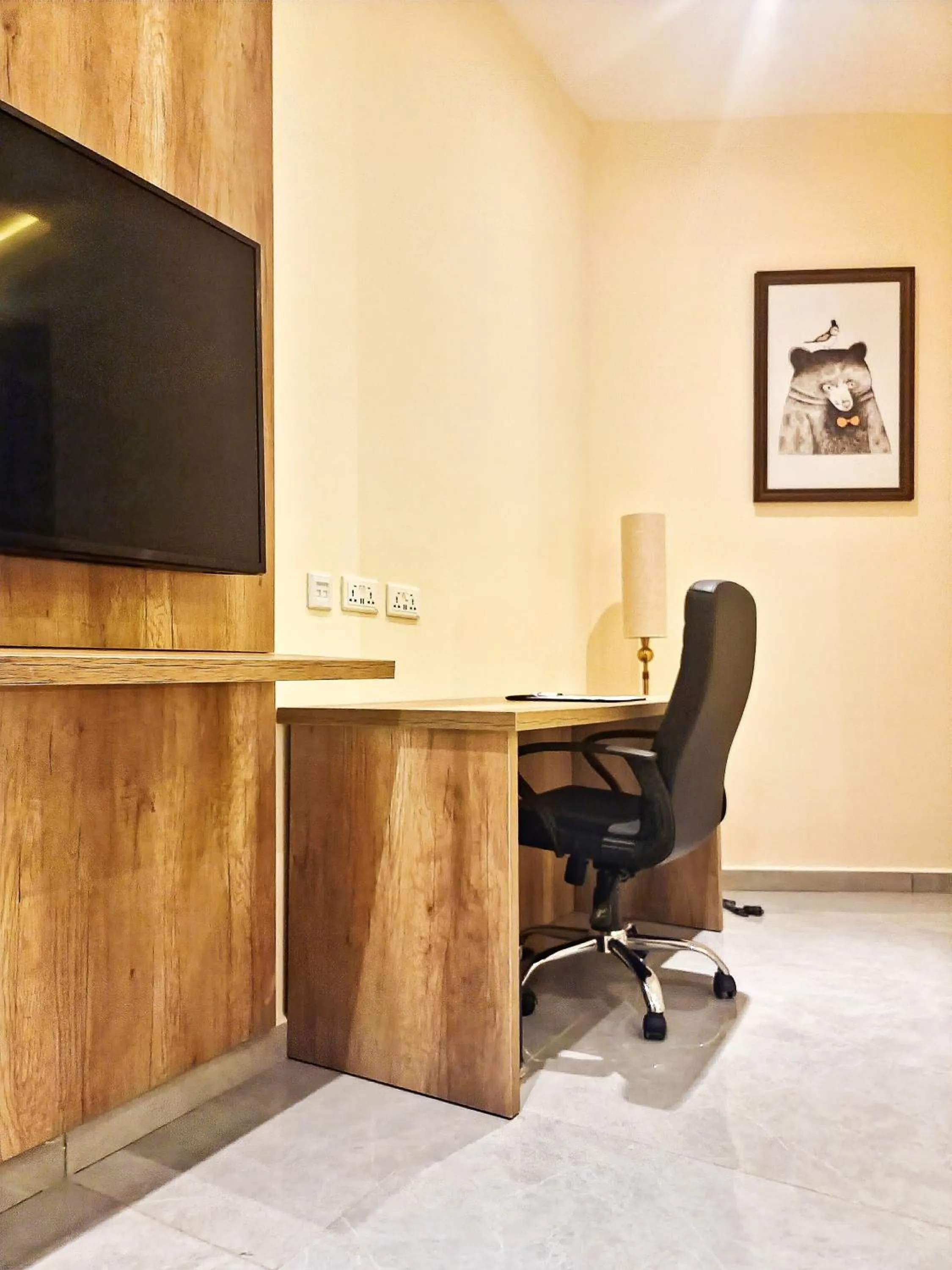 TV and multimedia in Vintano Hotel