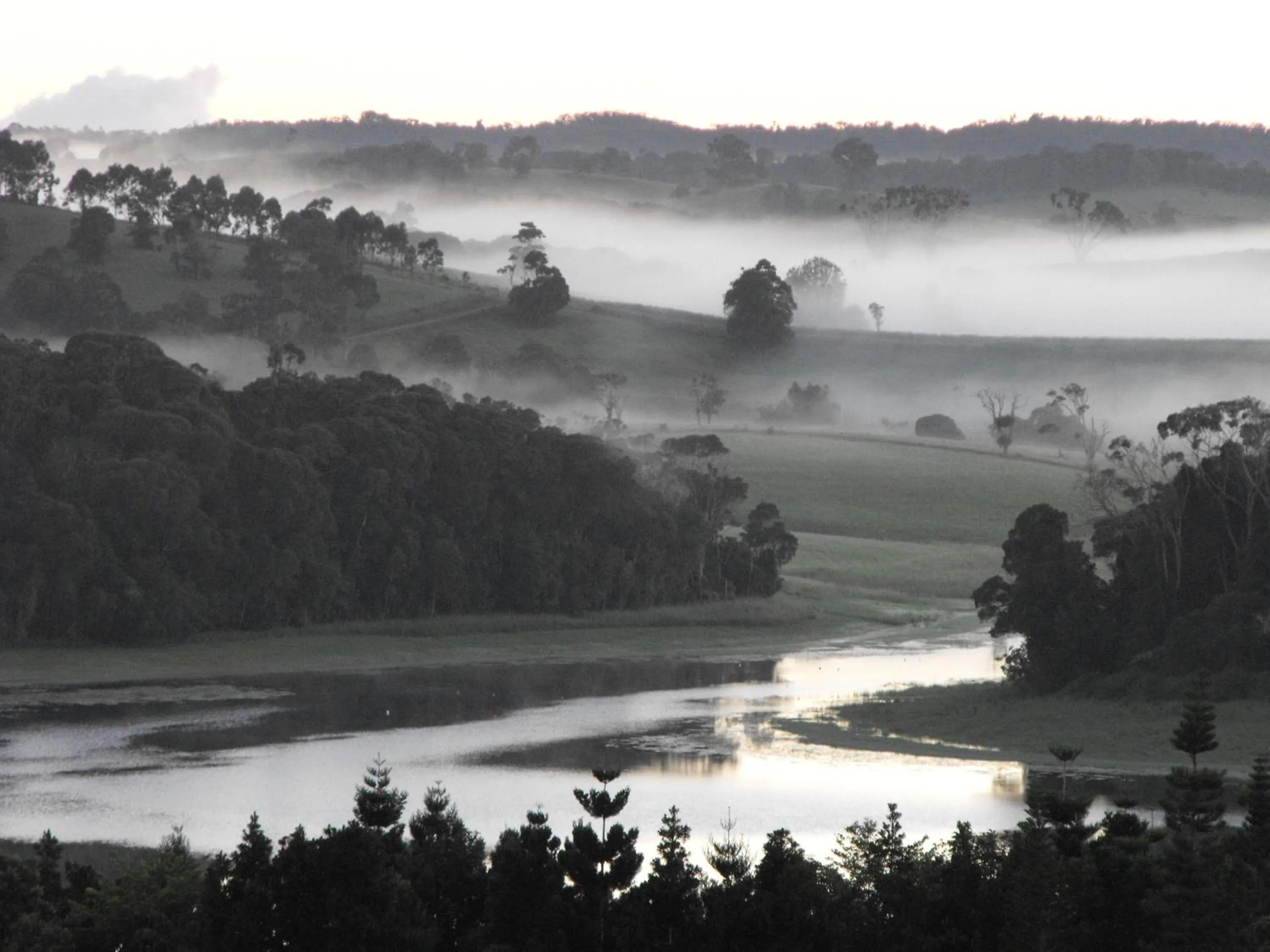 Natural landscape in Tinaroo Sunset Retreat