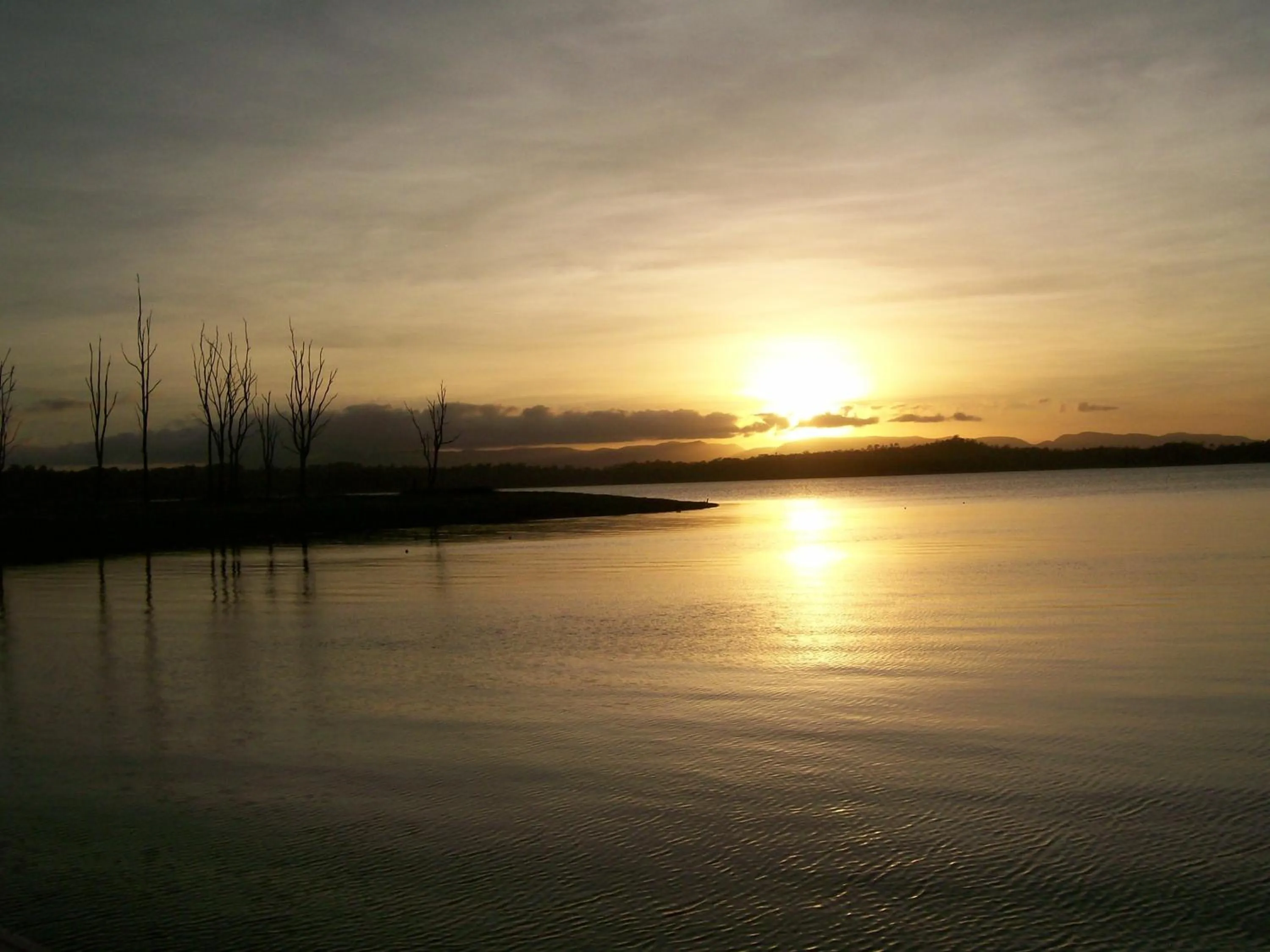 Natural landscape in Tinaroo Sunset Retreat