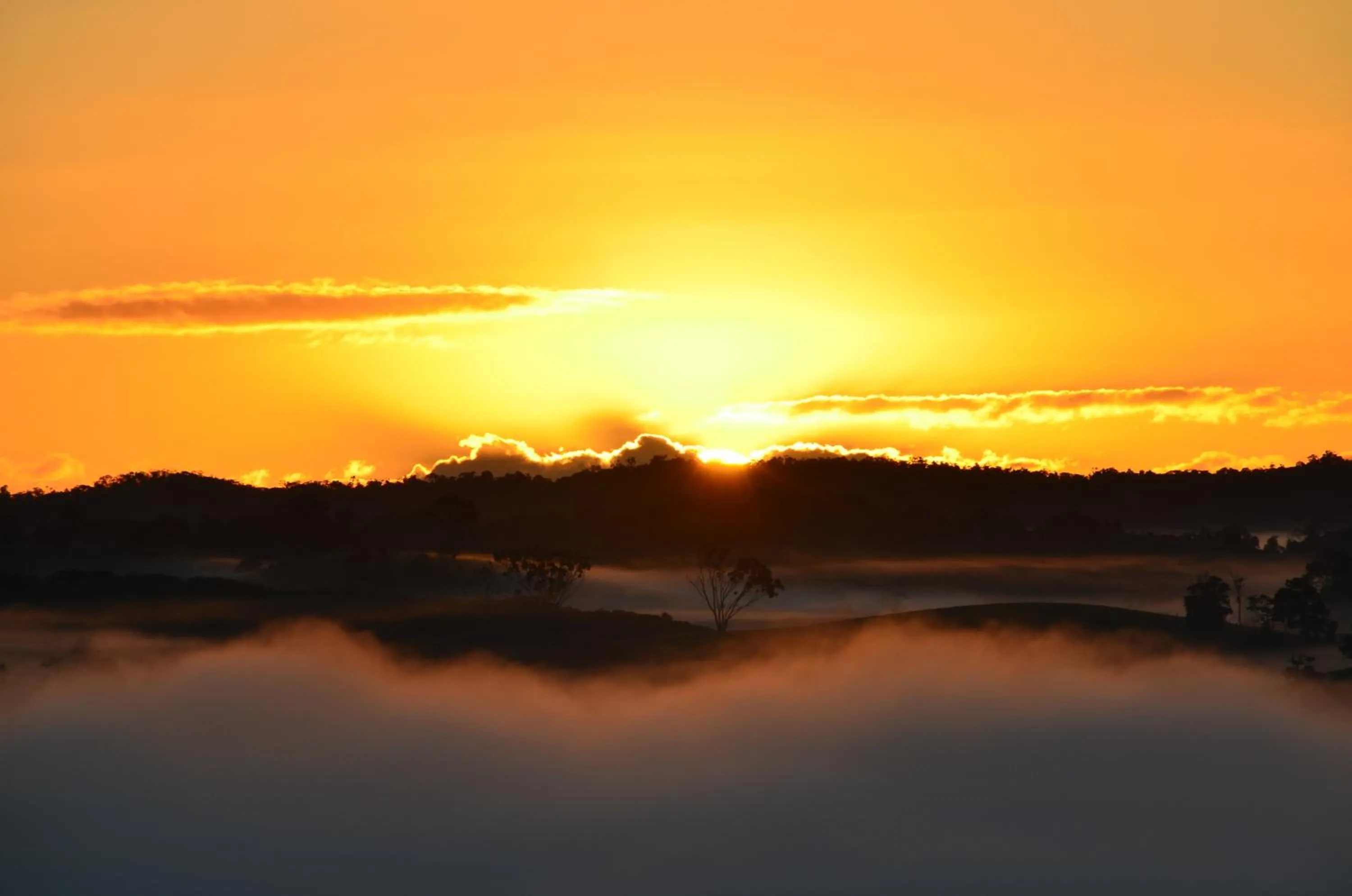 Natural landscape in Tinaroo Sunset Retreat
