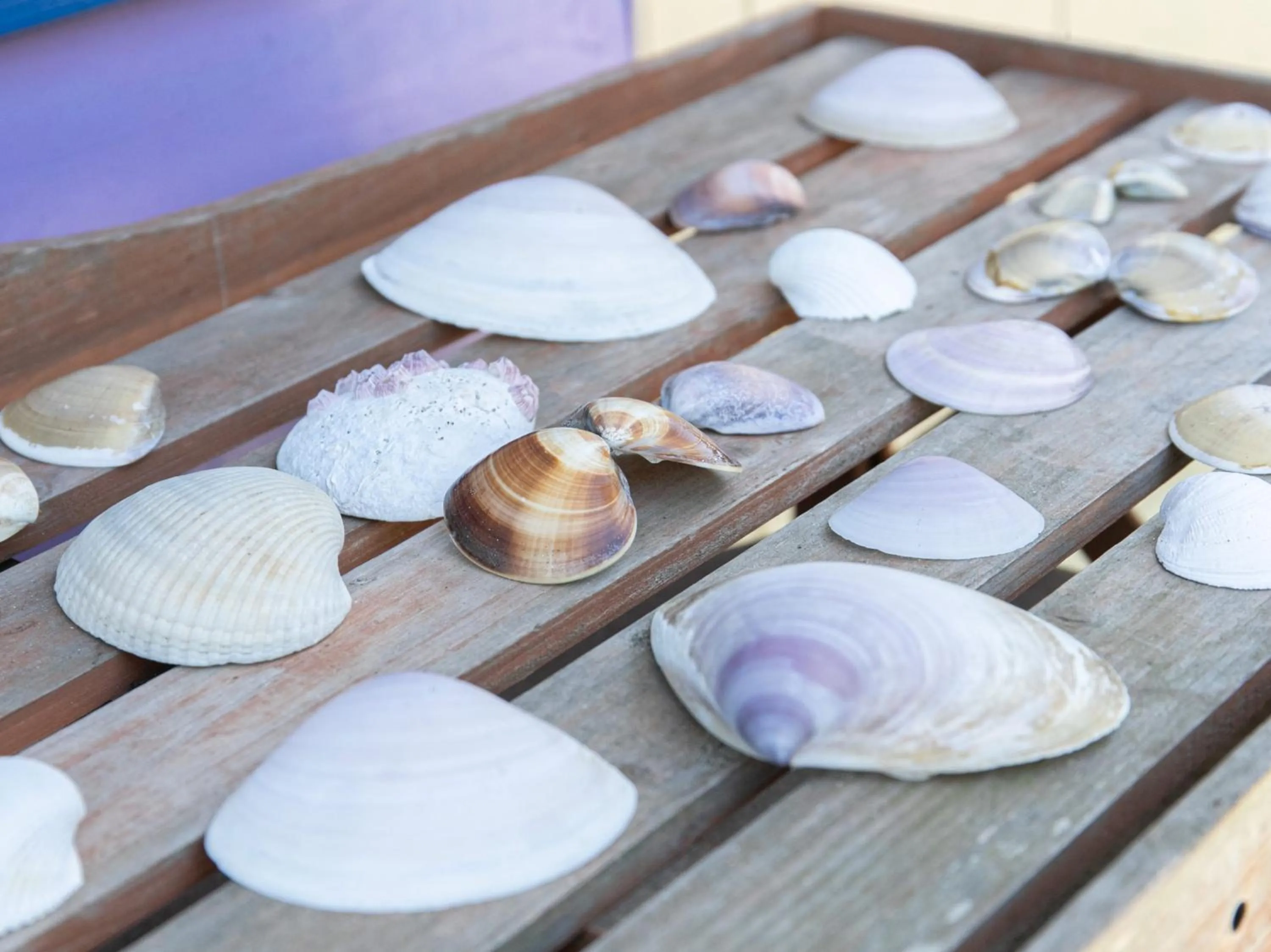 Other in Tabist Guest house Pumping Surf