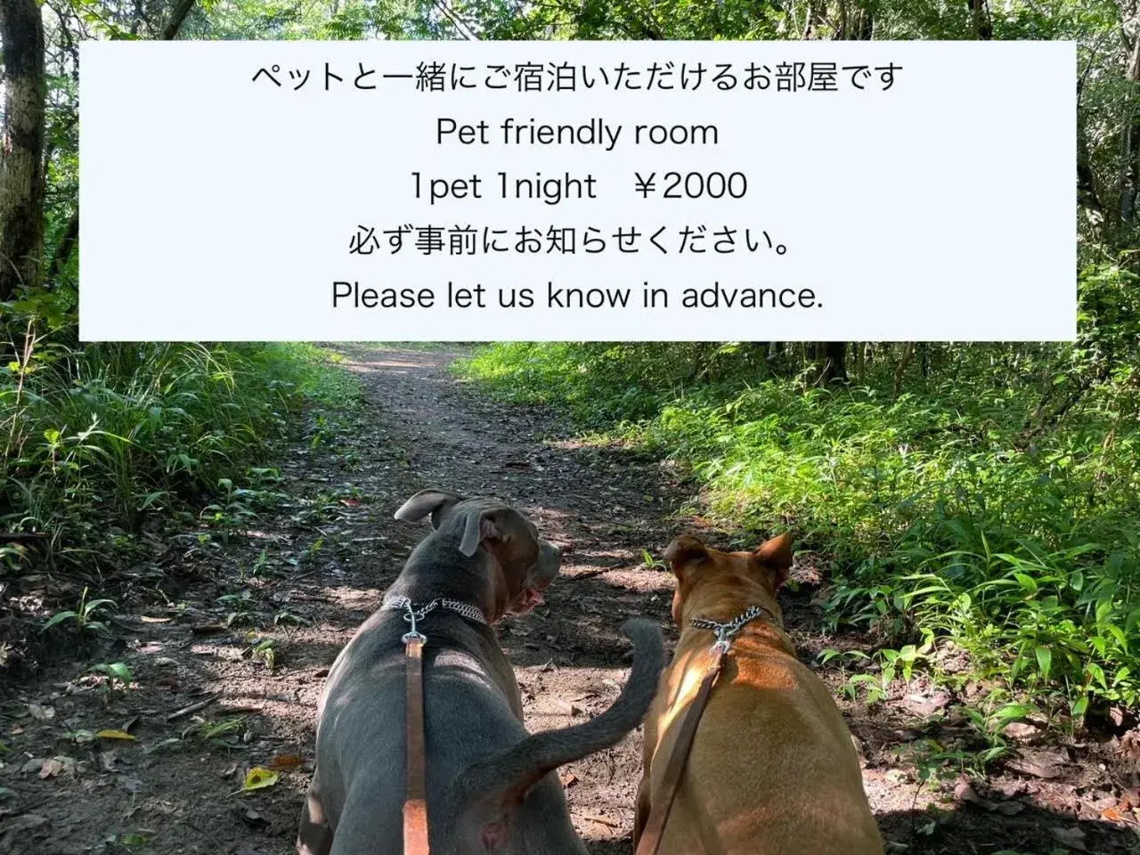 Family Room with Private Bathroom in Tabist Guest house Pumping Surf Family Room with Private Bathroom in Tabist Guest house Pumping Surf