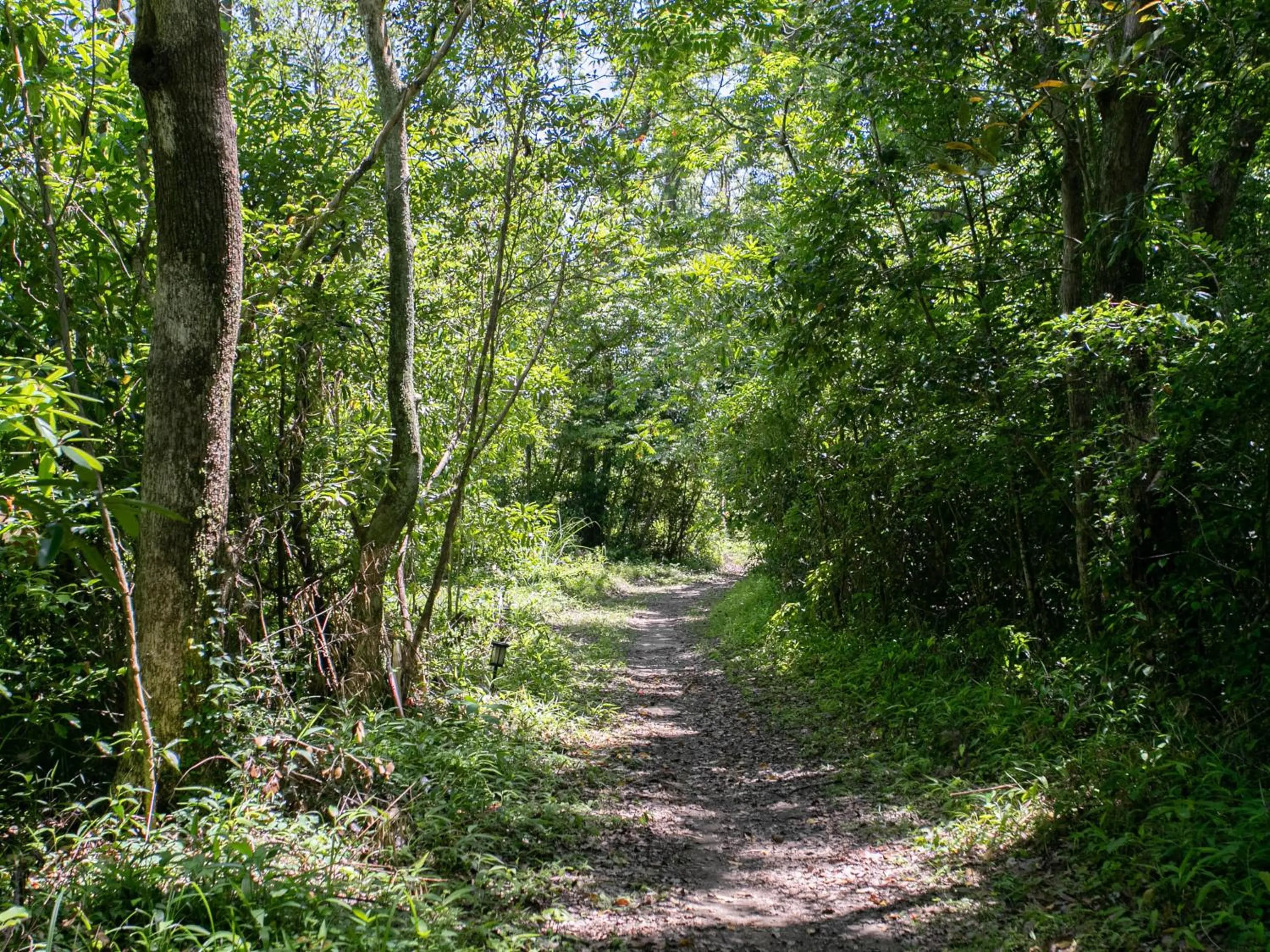 Beach in Tabist Guest house Pumping Surf