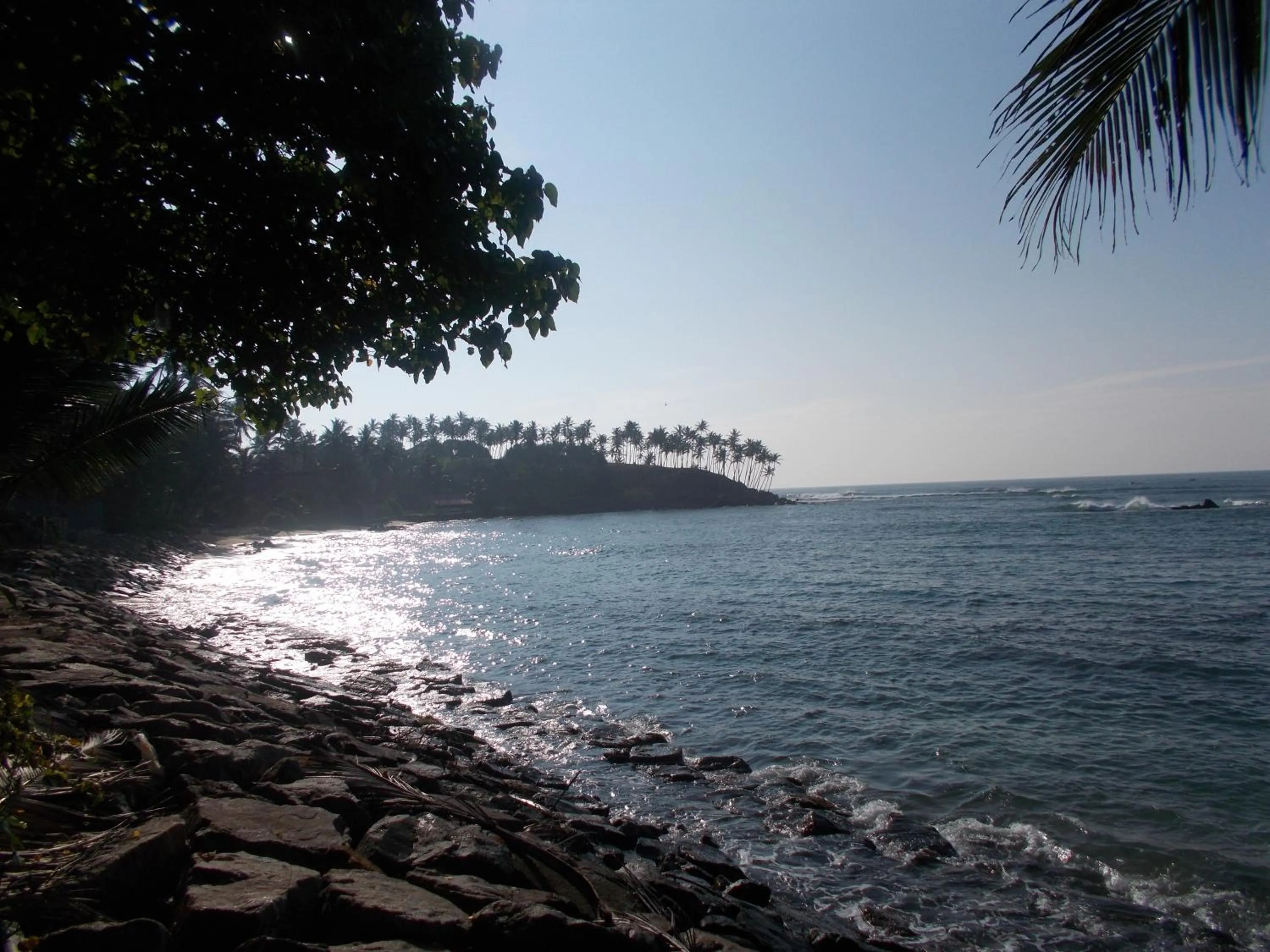 Beach in Peacock Wings Guest