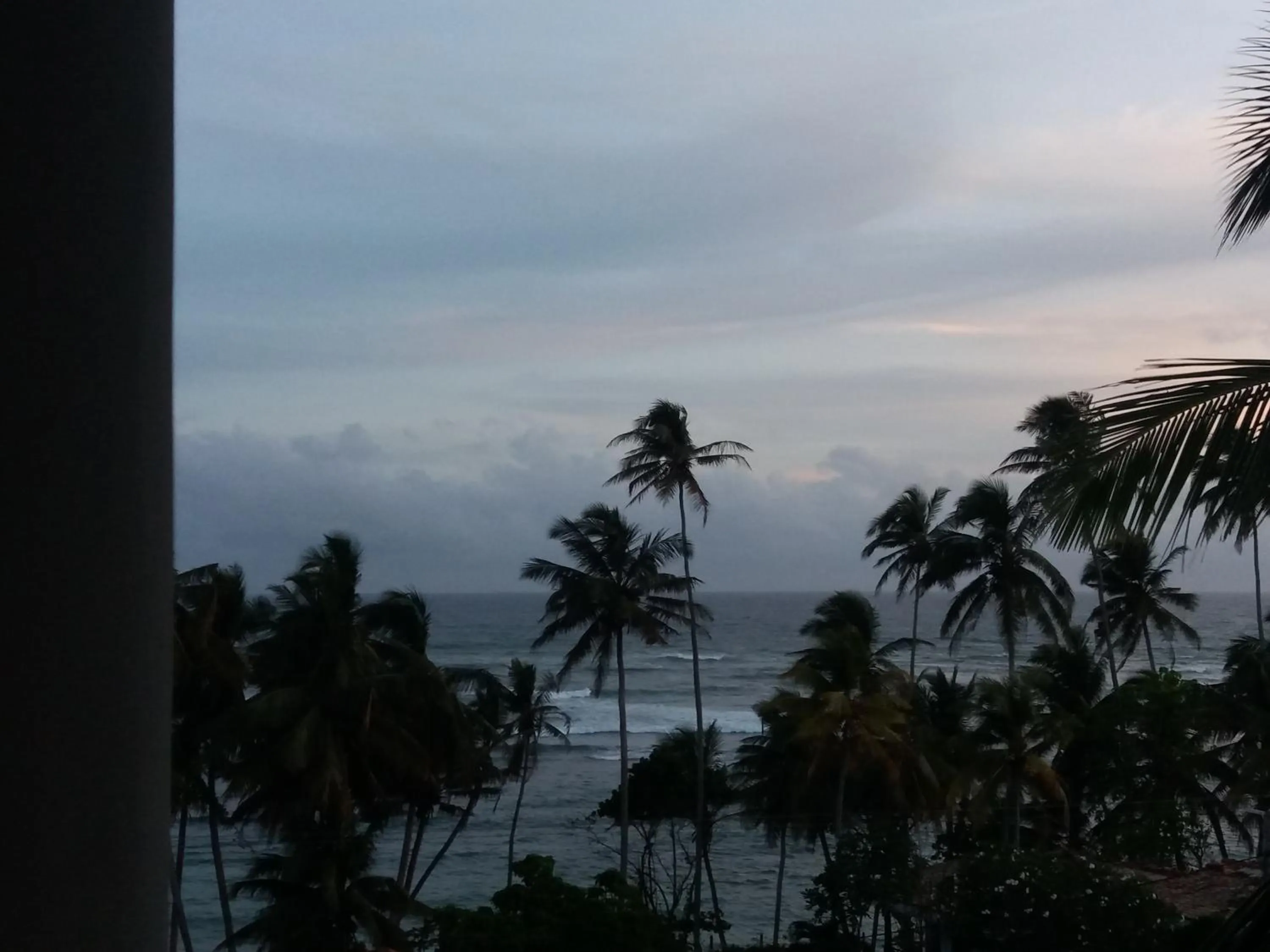 Sea view in Peacock Wings Guest