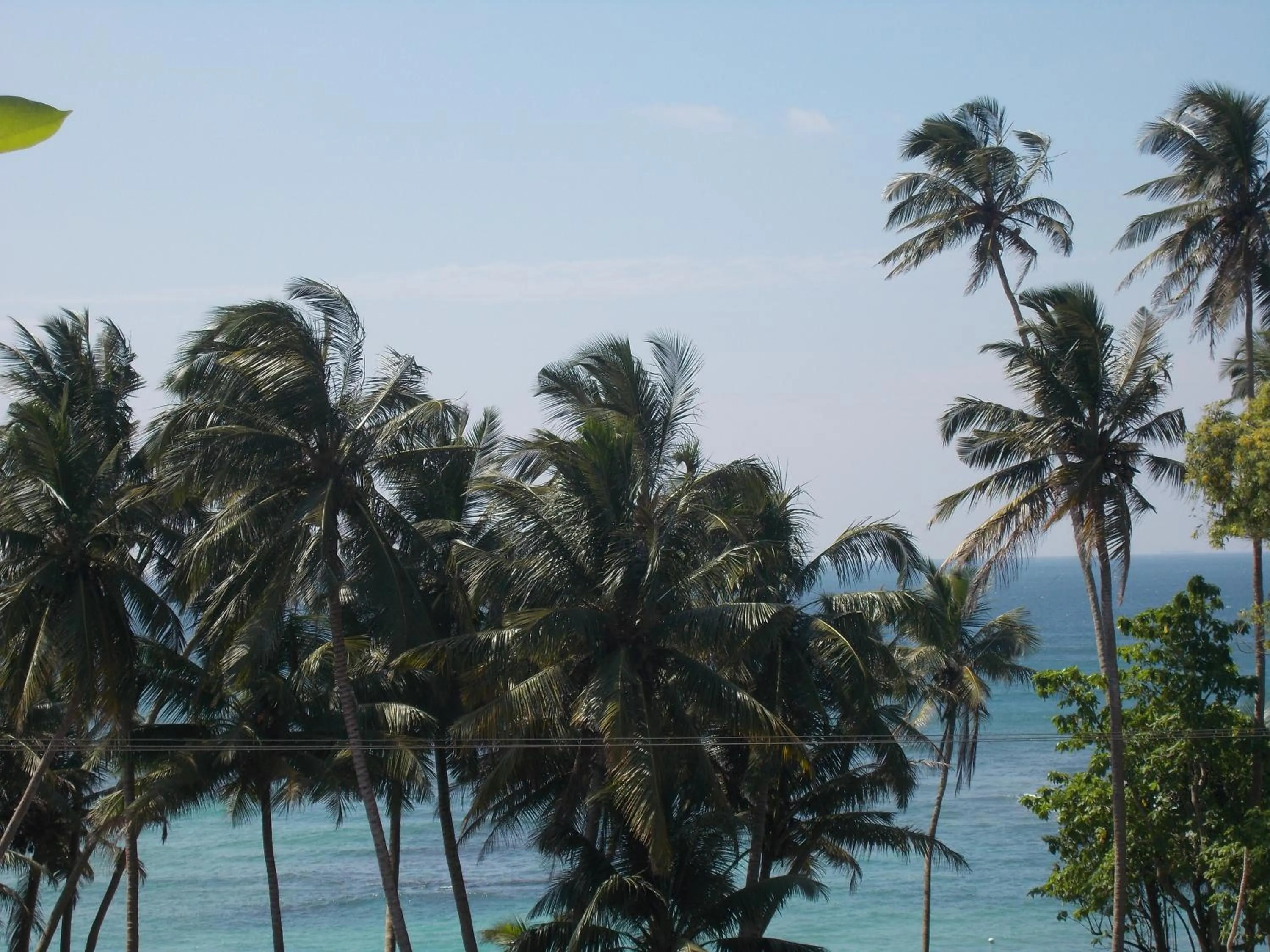 Sea view in Peacock Wings Guest