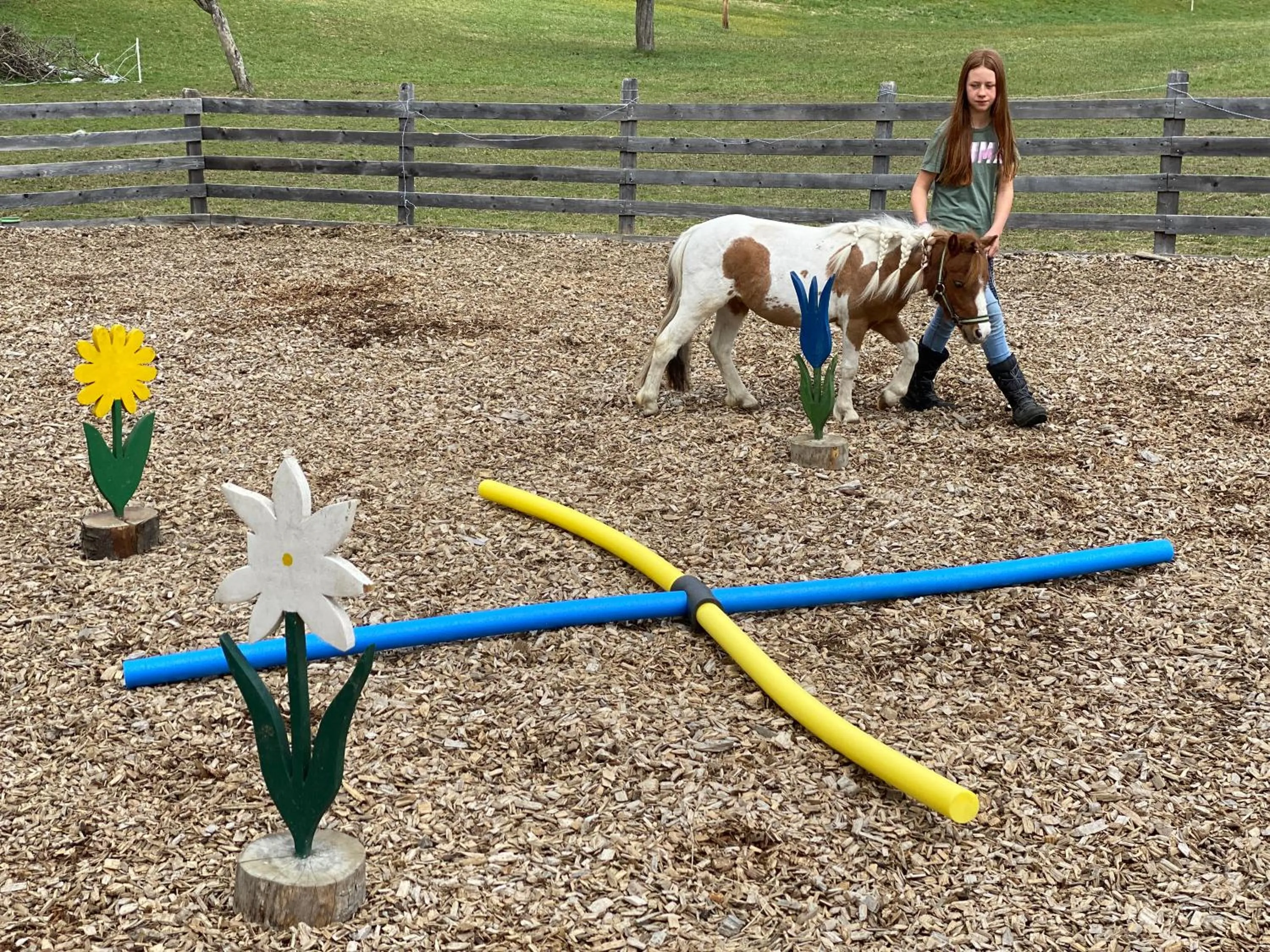 Animals in Laubichlhof